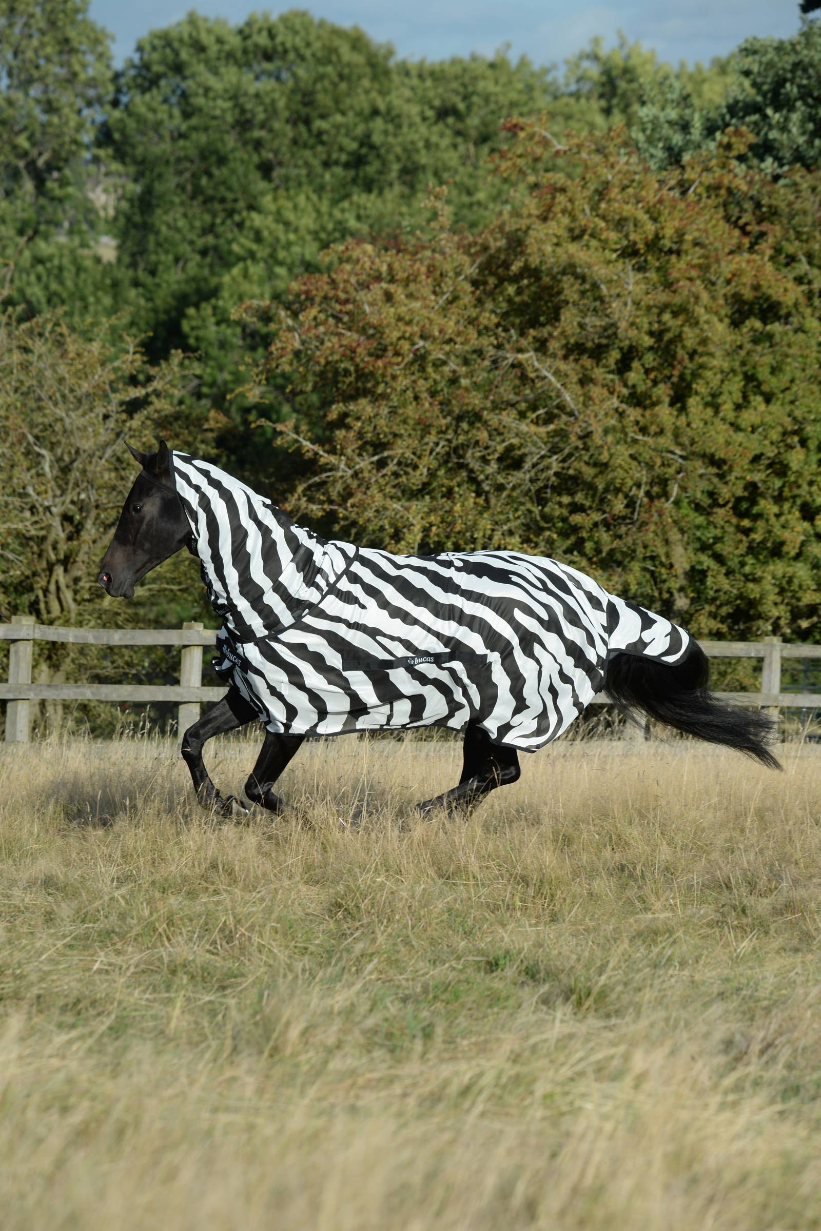 Bucas Buzz-Off Zebra Síťová deka proti hmyzu s pevným krčním dílem Horse Rugs