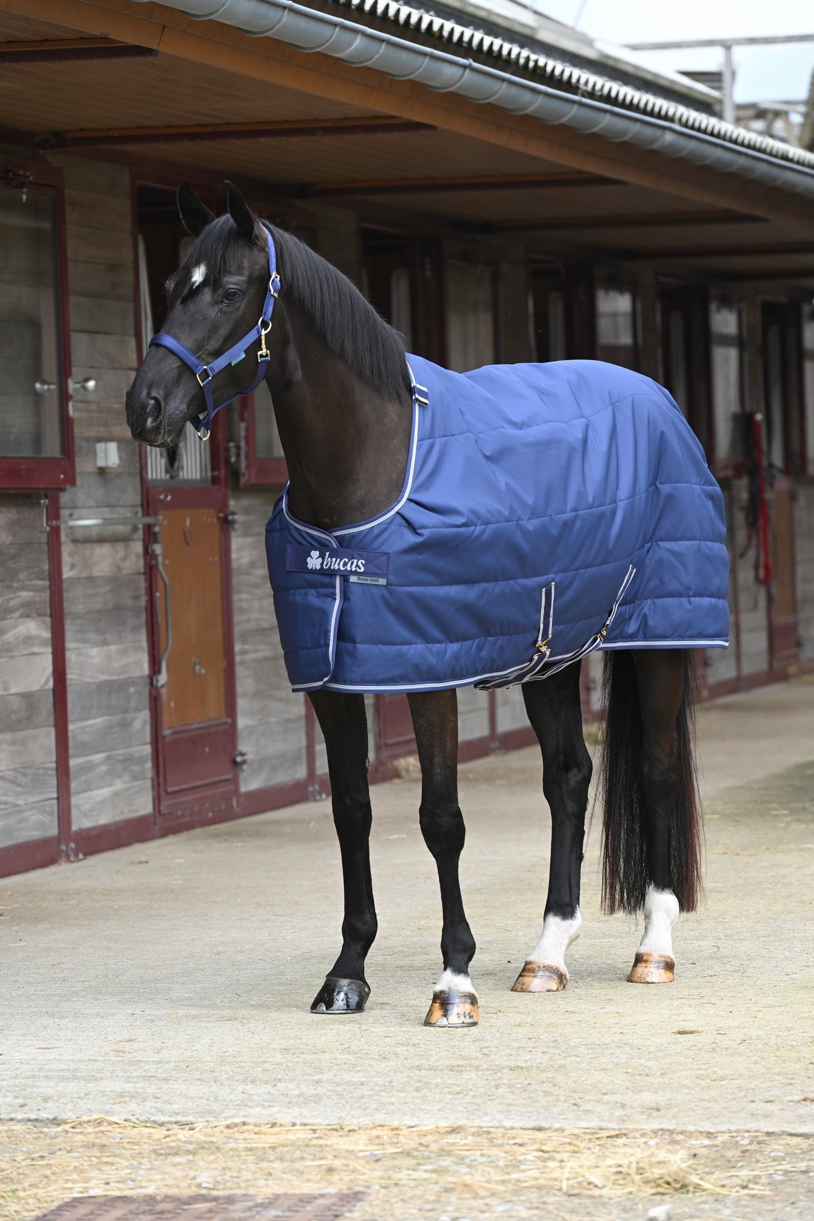 Bucas Quilt s hedvábným povrchem, 150g Horse Rugs