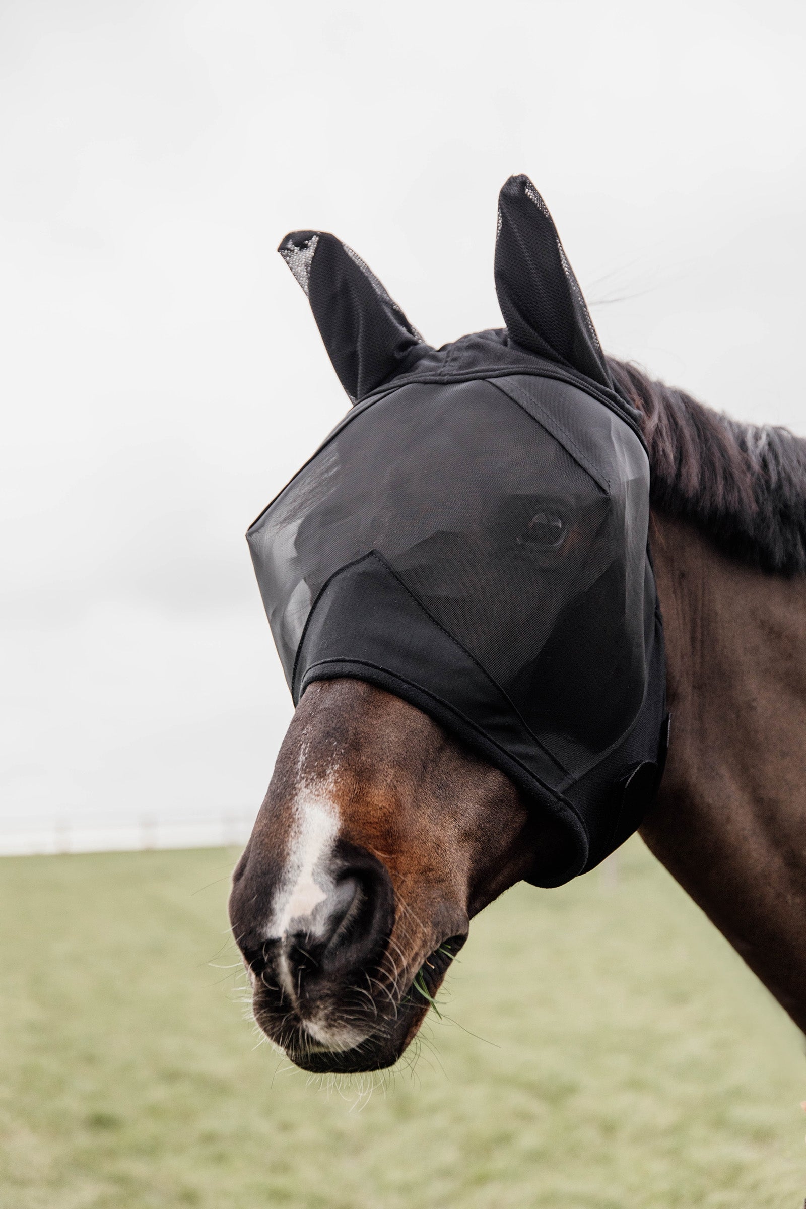 Kentucky Horsewear Klasická maska proti hmyzu Antifly Protection for Horses