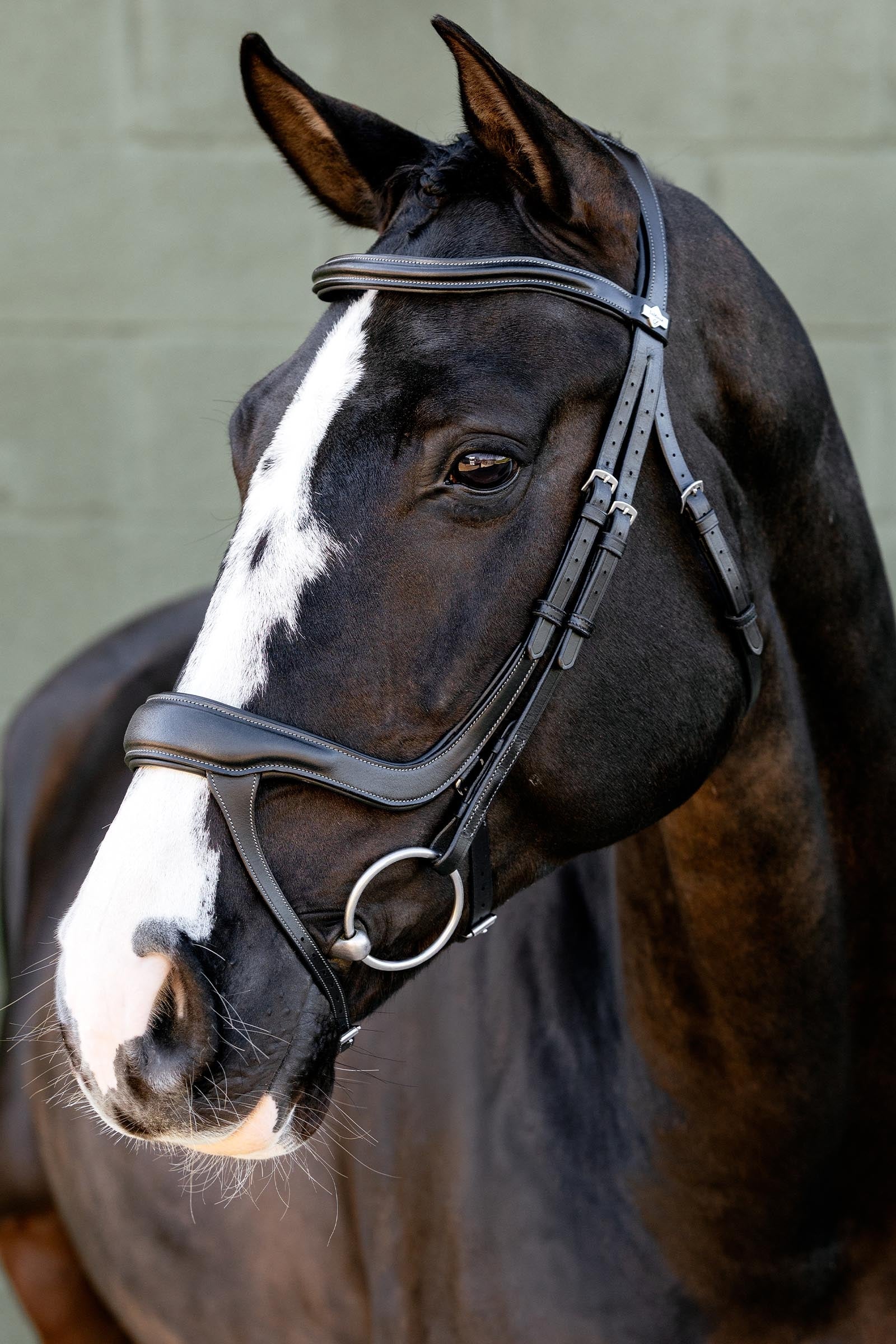 LeMieux Arika Split Noseband Bridle Bridles & Reins