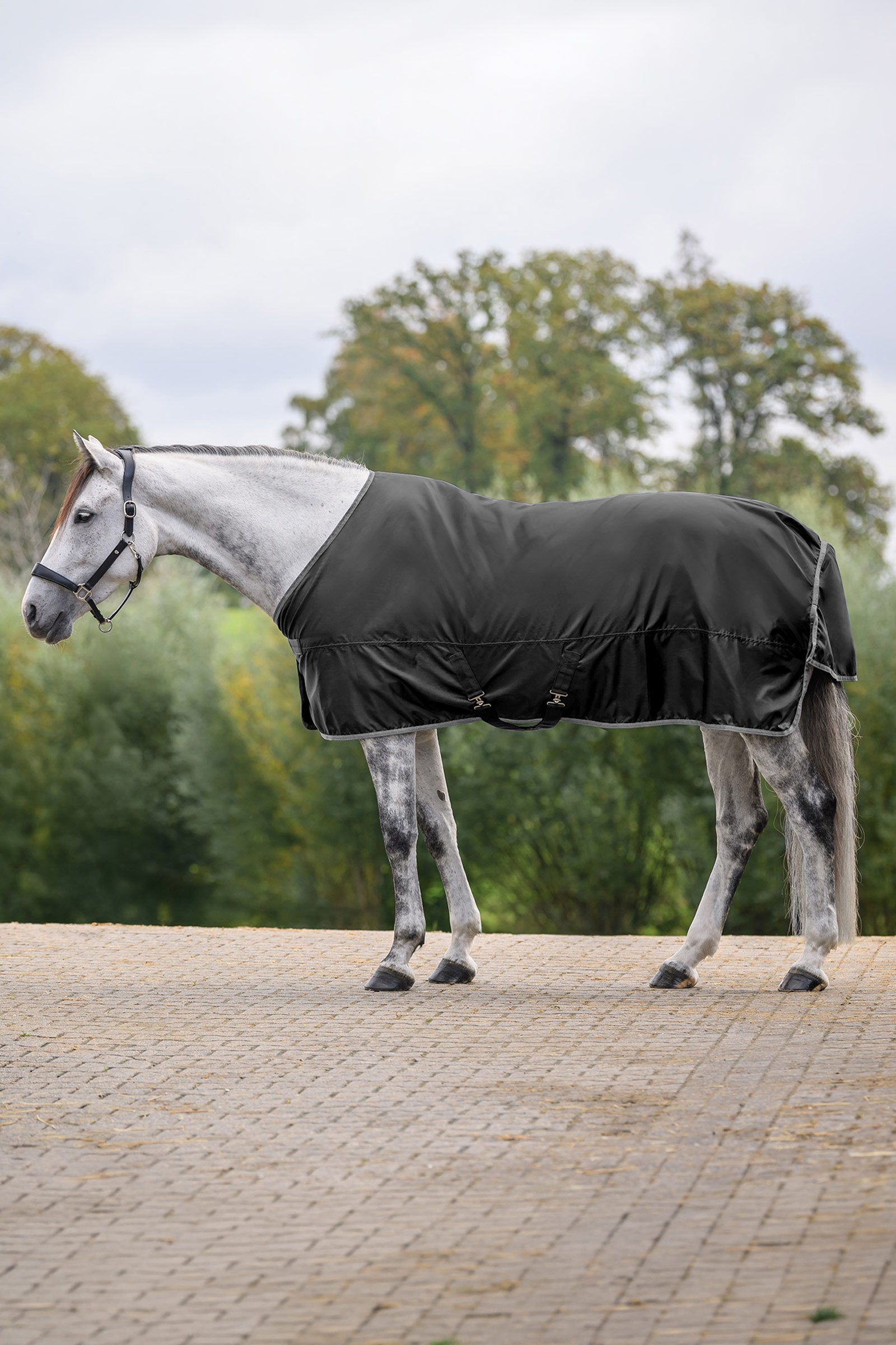 Waldhausen ECONOMIC pláštěnka Horse Rugs
