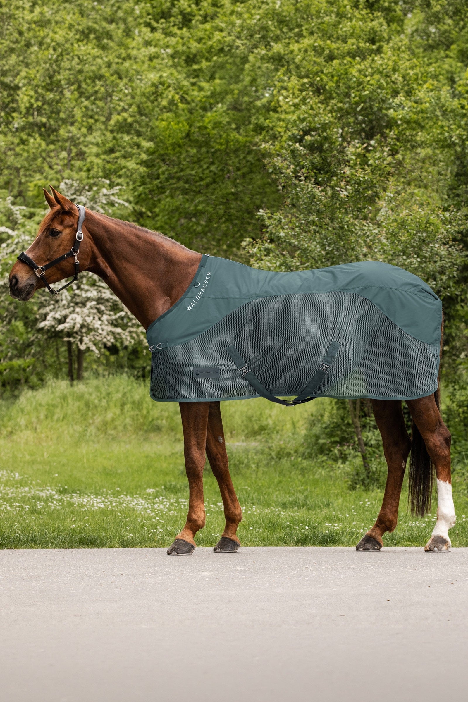 Waldhausen Comfort deka proti dešti a hmyzu Horse Rugs