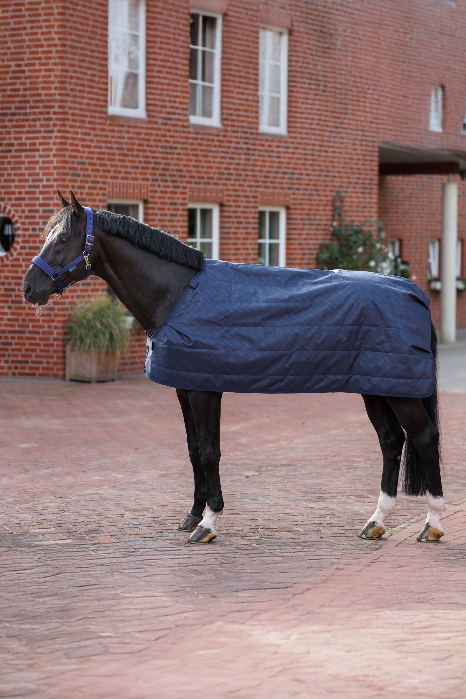Bucas vnitřní deka, 100 g Horse Rugs