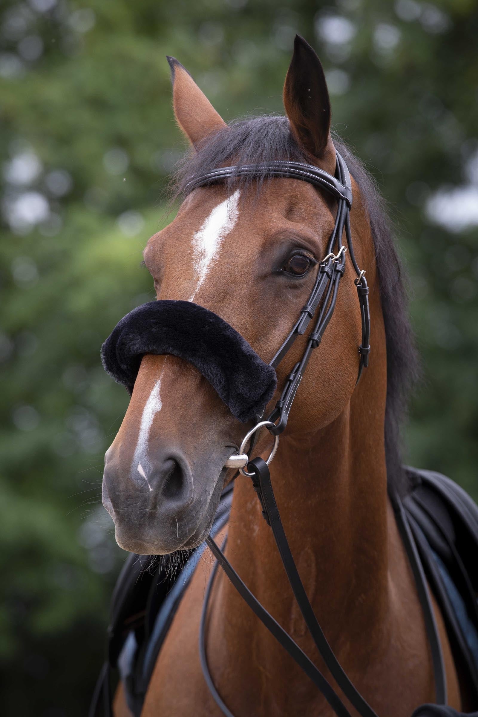 Equi Theme EQUITHÈME Teddy Noseband Sleeve Bridles & Reins