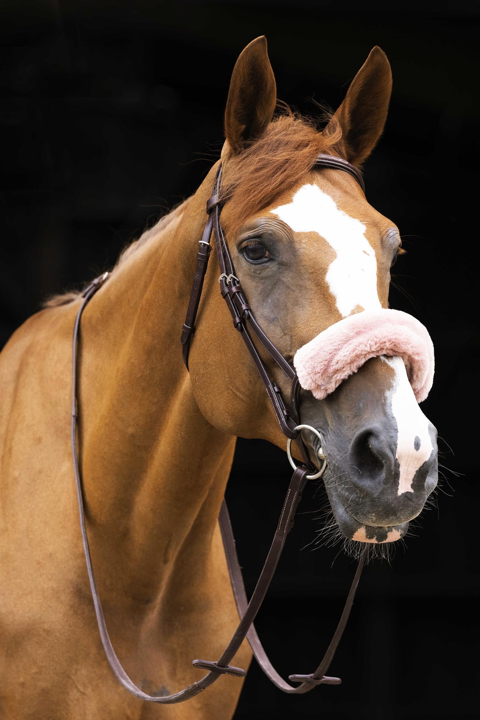 Equi Theme EQUITHÈME Teddy Noseband Sleeve Bridles & Reins