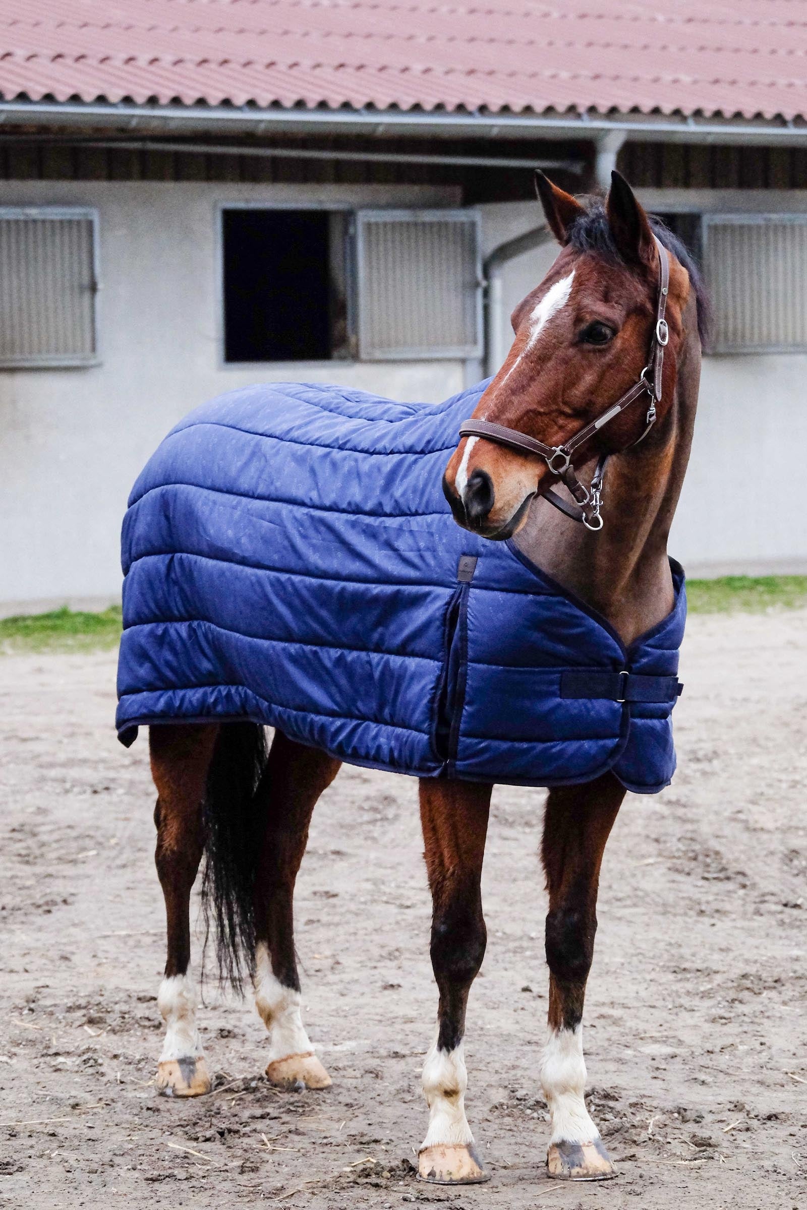 EQUITHÈME Classic poddeka, 200 g Horse Rugs