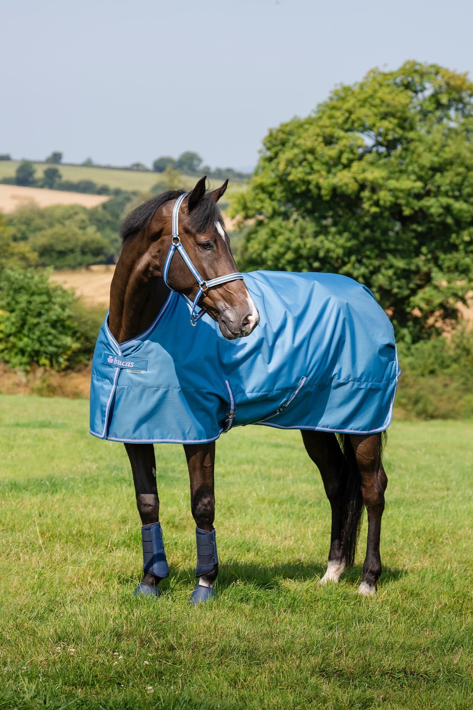 Bucas Freedom Light Turnout Rug, 0g Horse Rugs