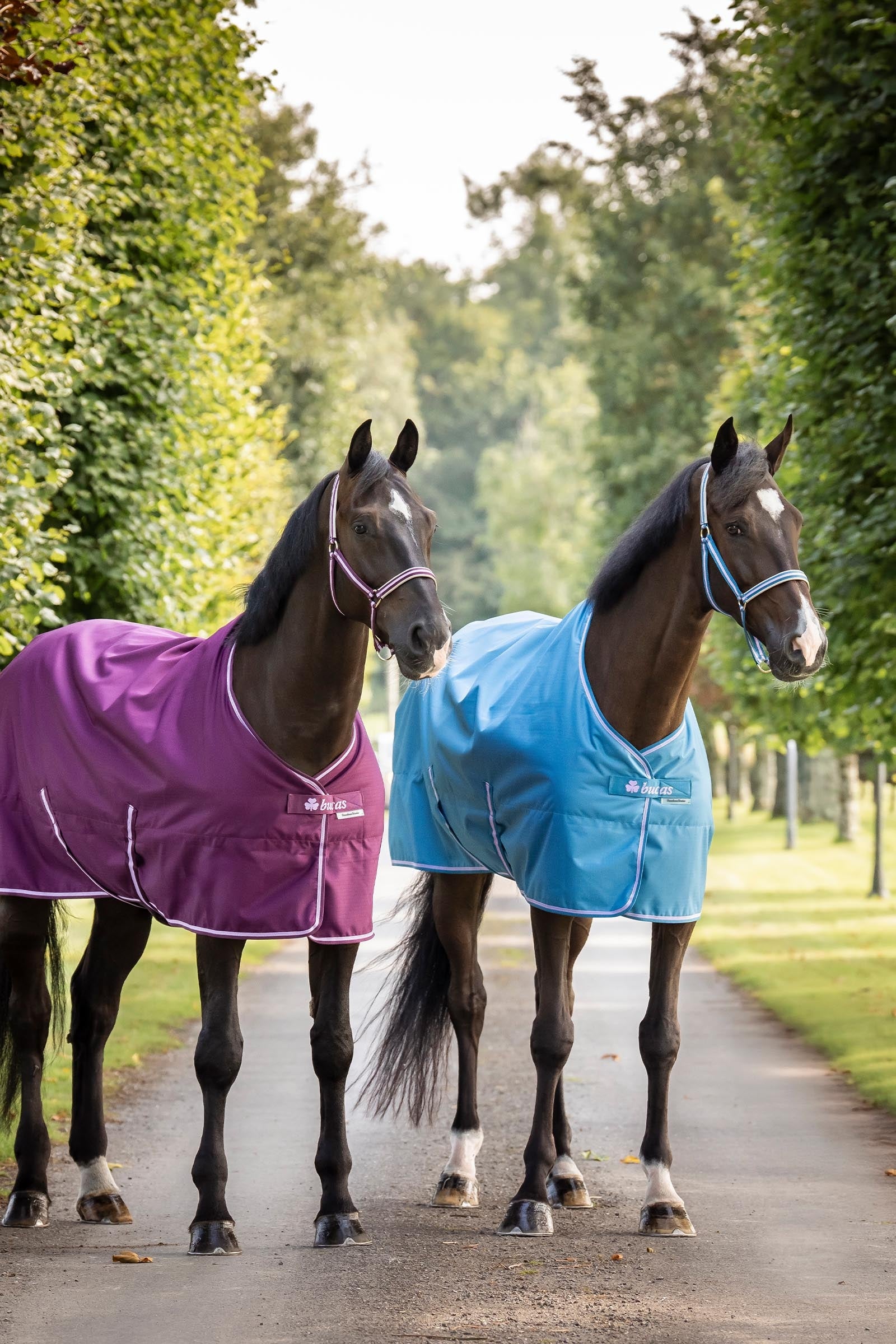 Bucas Freedom Light Turnout Rug, 0g Horse Rugs
