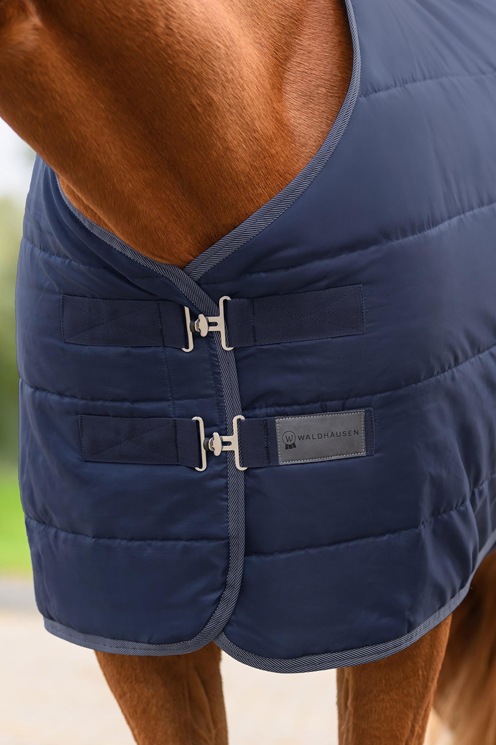 Waldhausen ECONOMIC Stable Rug, 100g Horse Rugs