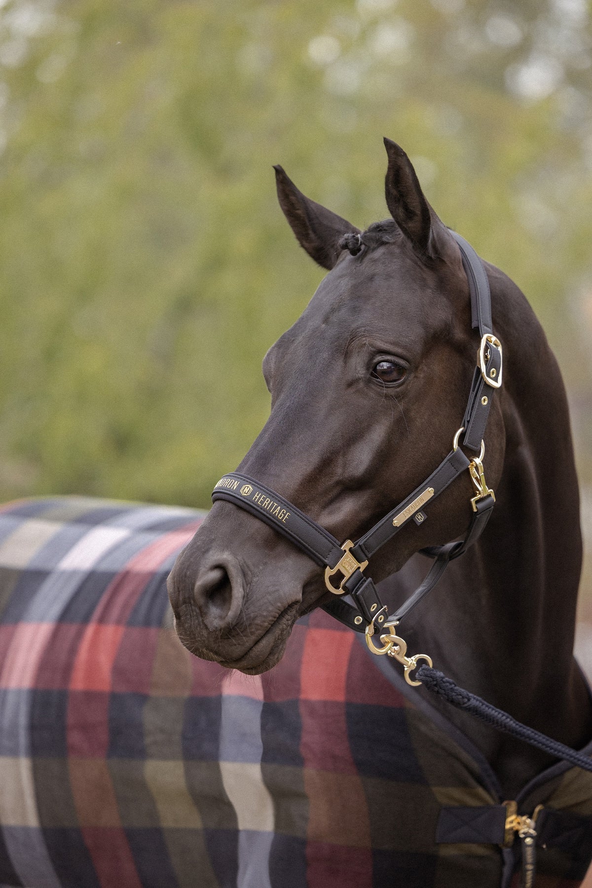 Eskadron Heritage 26/27 Check Fleece Sweat Rug Horse Rugs