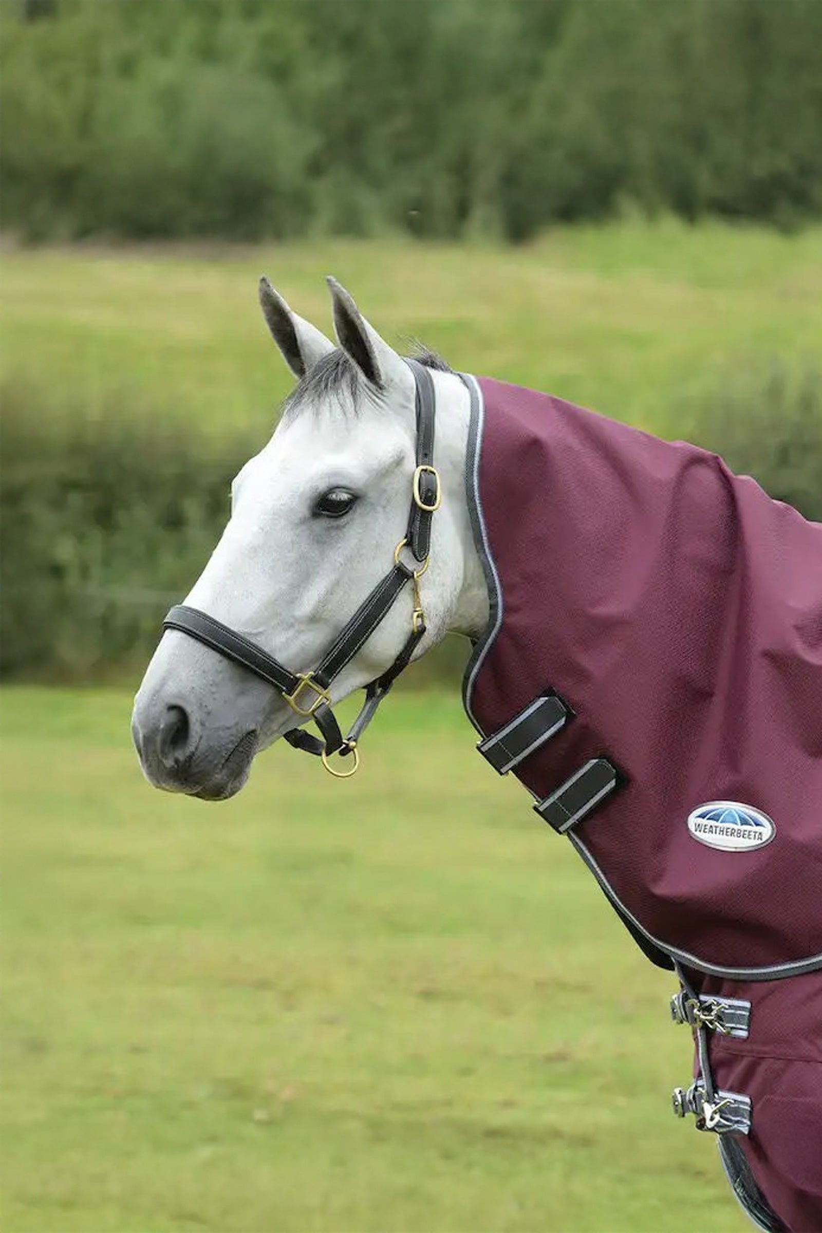 Weatherbeeta Comfitec Plus Dynamic II Medium/Lite Krční díl, 100g Horse Rugs