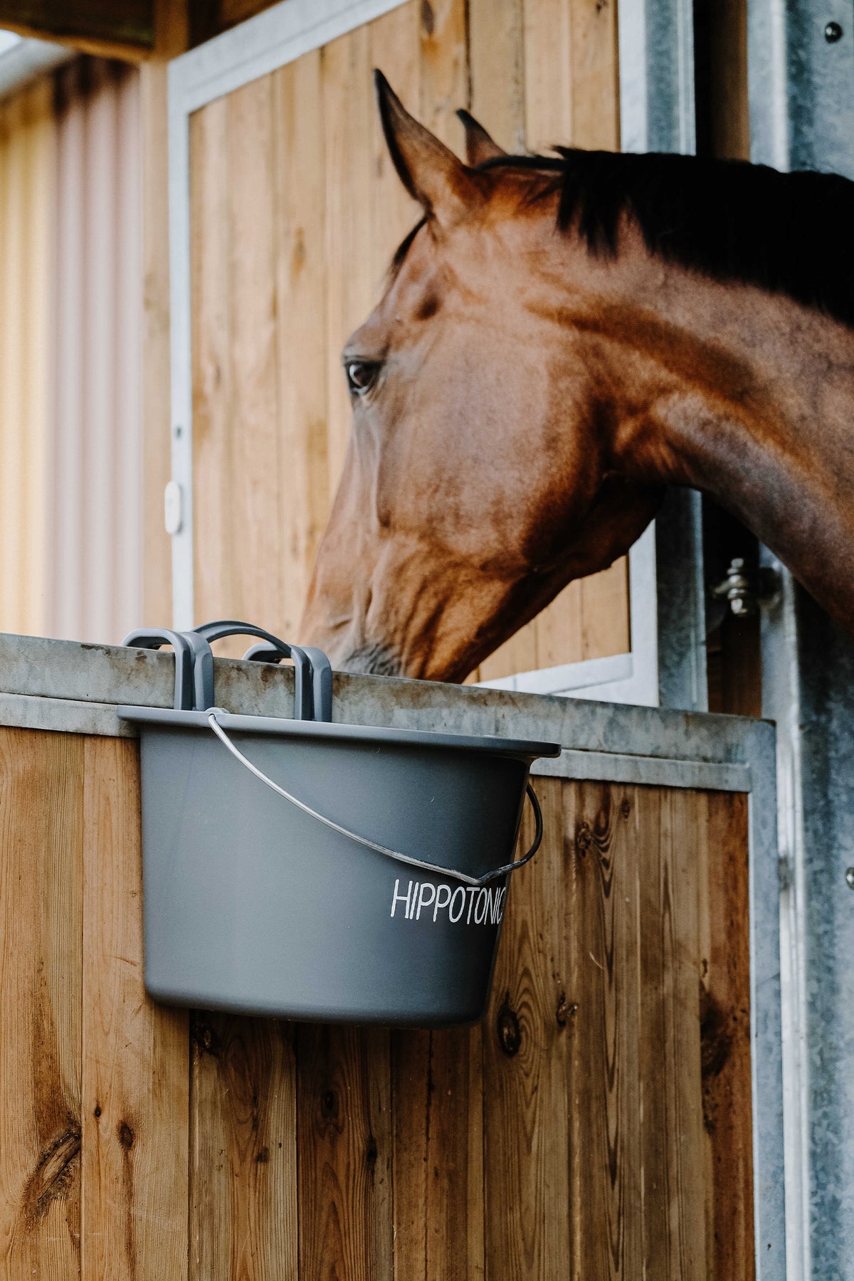 HIPPOTONIC Feeder With Hooks And Handle, 14 L Horse Feeders & Waterers