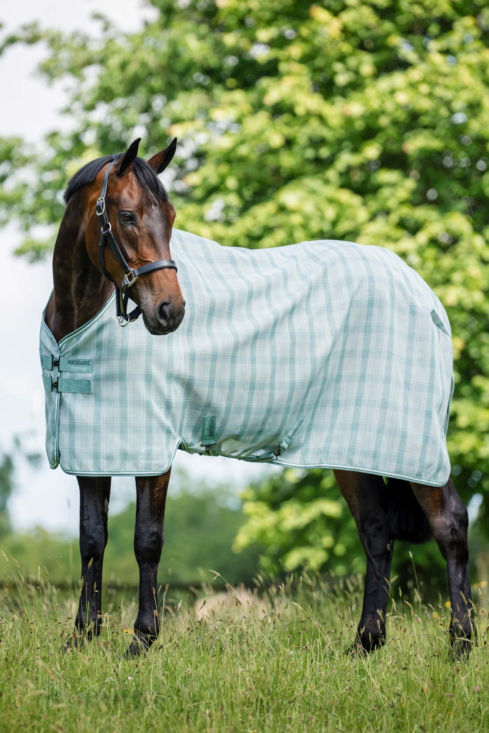 Horseware Newmarket flíčka proti hmyzu s UV ochranou Horse Rugs