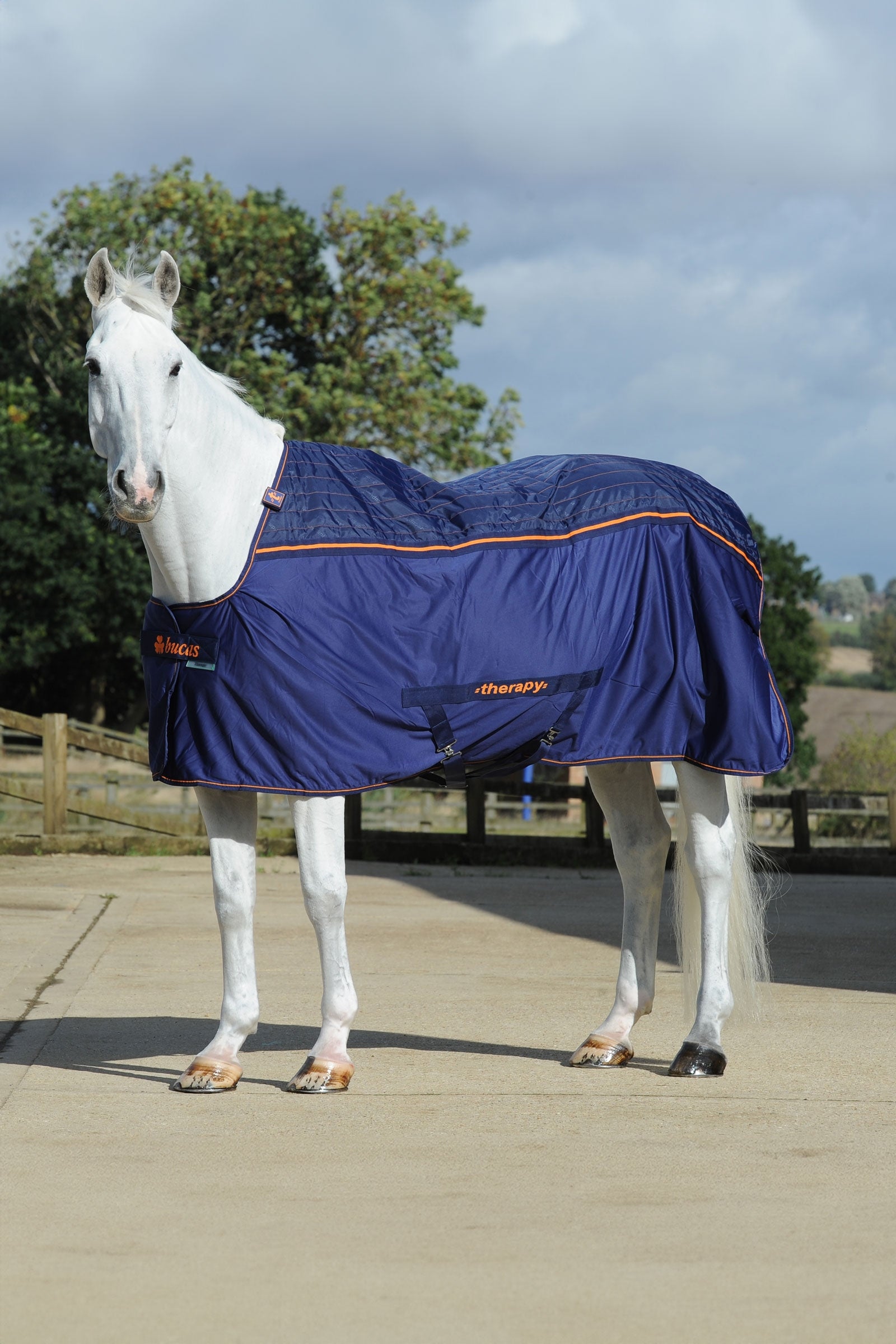 Bucas Therapy chladicí koberec, 0 g Horse Rugs
