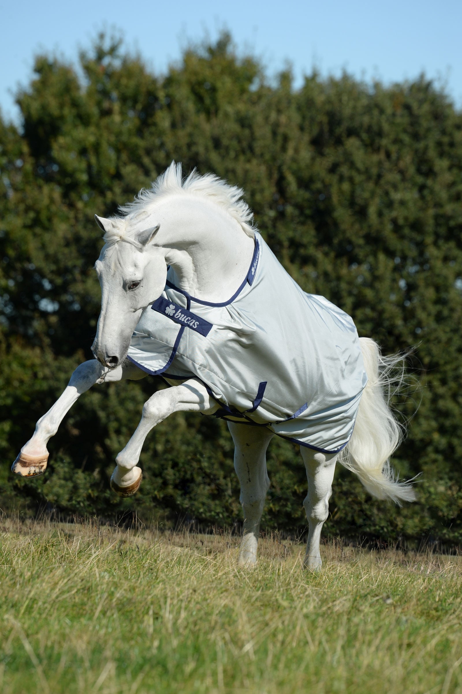 Bucas Power Koberec s širokým výstřihem, 0g Horse Rugs