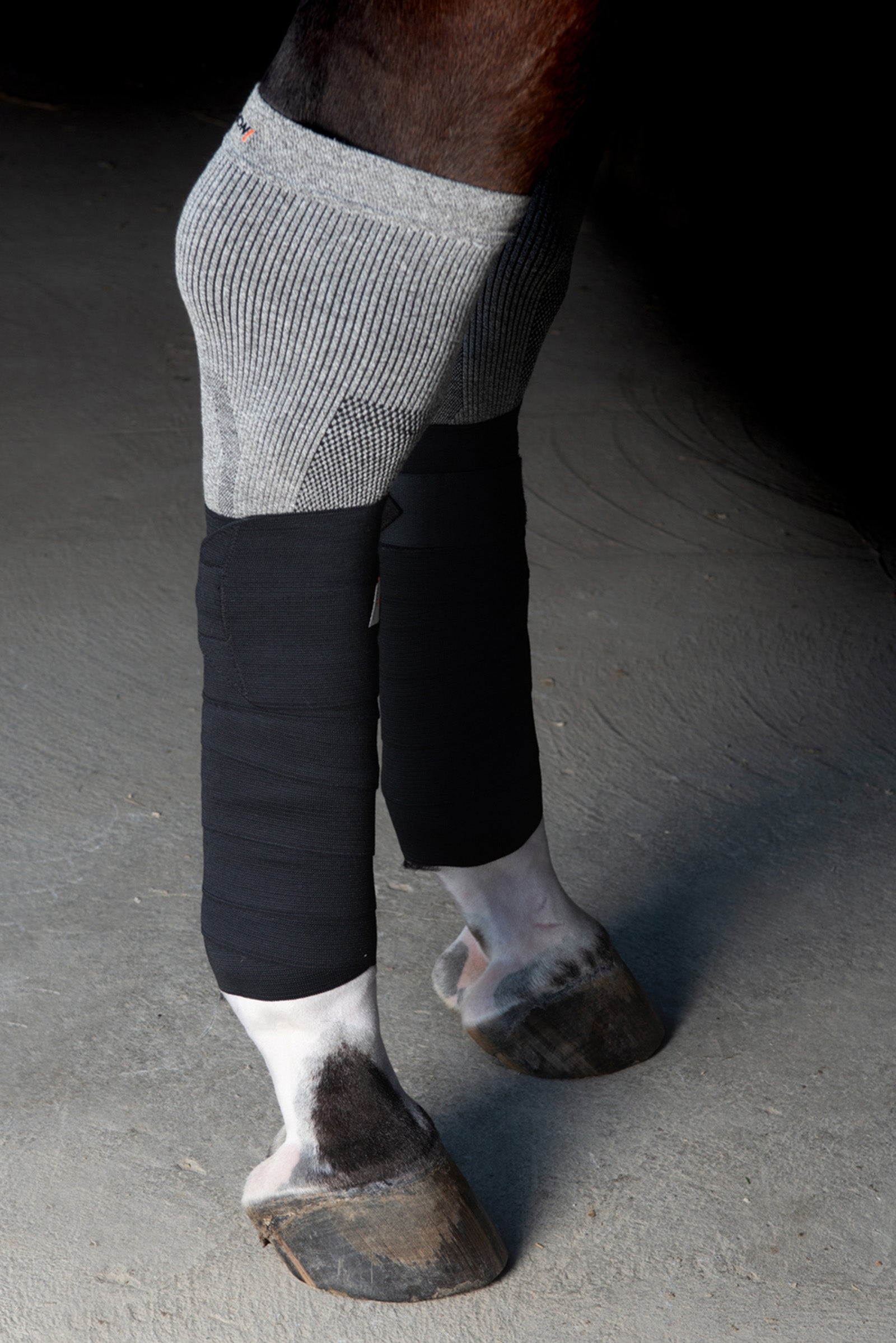 Incrediwear Circulation Exercise Bandages - 12,5 cm Leg Protection & Hoof Protection for Horses