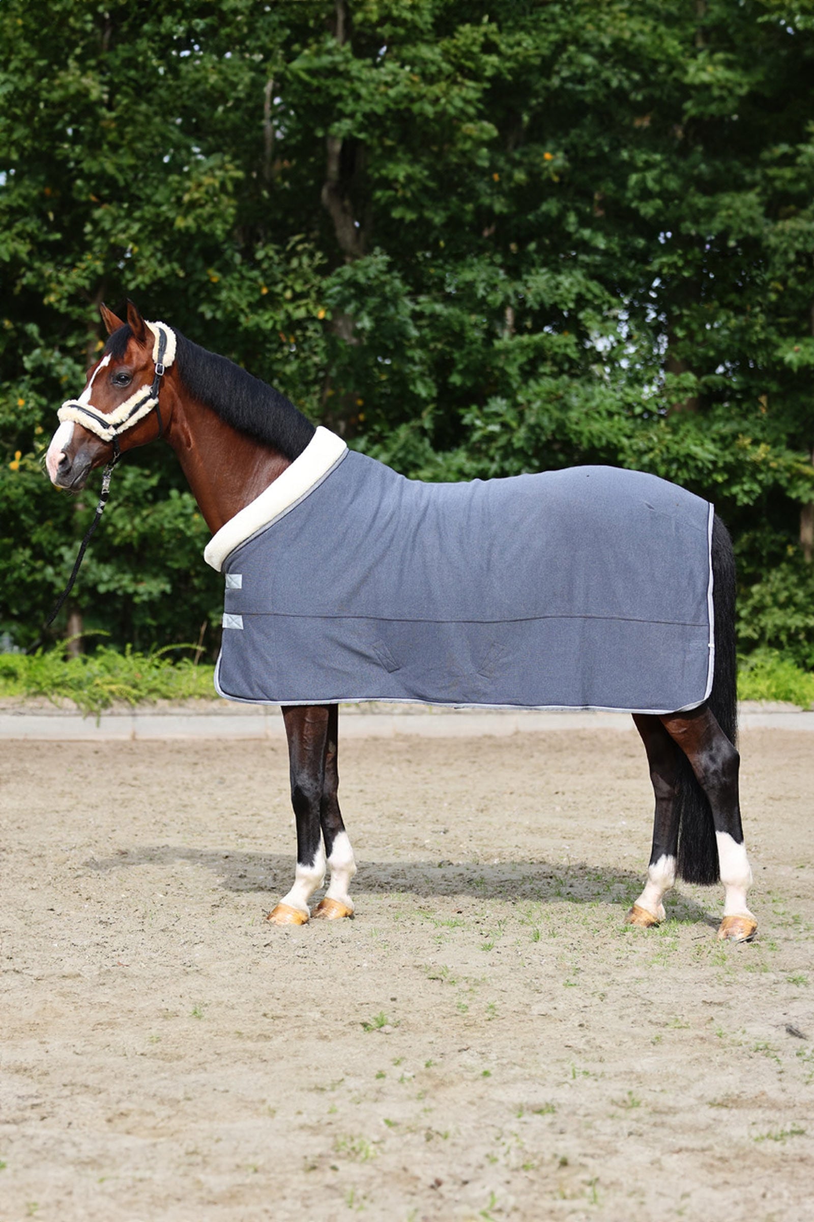 Kavalkade Elegance Cestovní a chladící deka Horse Rugs