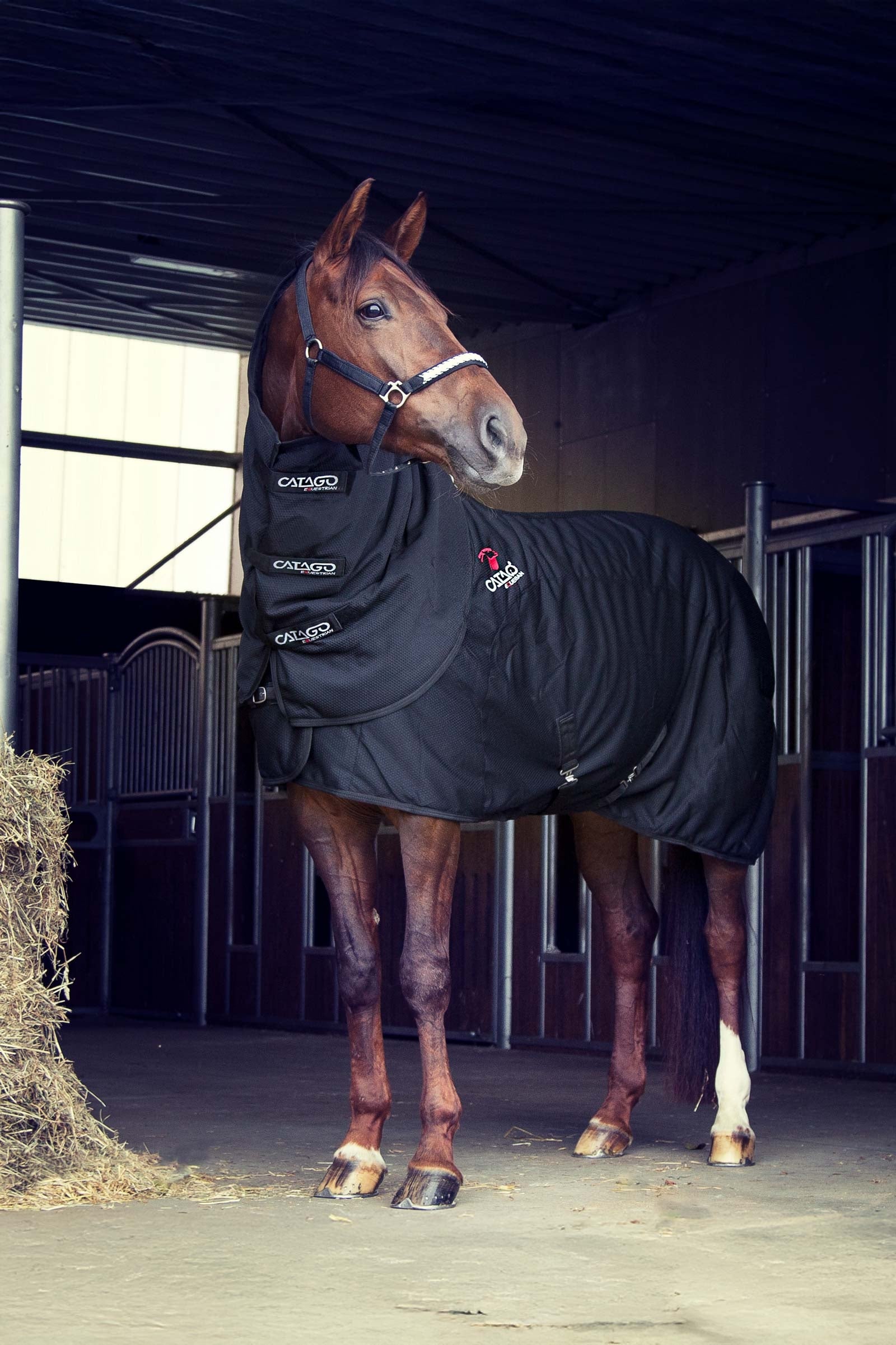 Catago CATAGO FIR-Tech Rug Horse Rugs