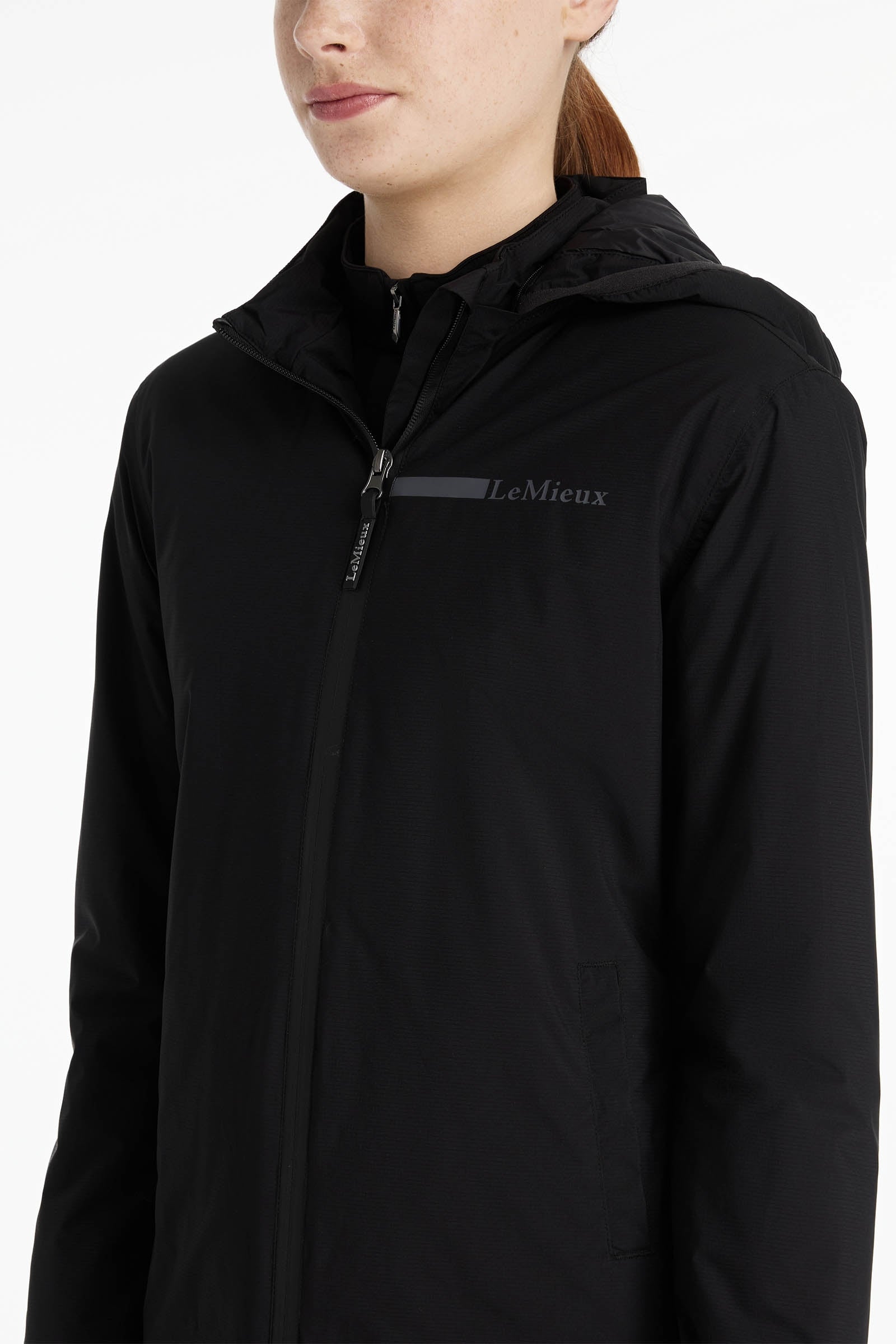 Alt Tag fallback text for IMAGE