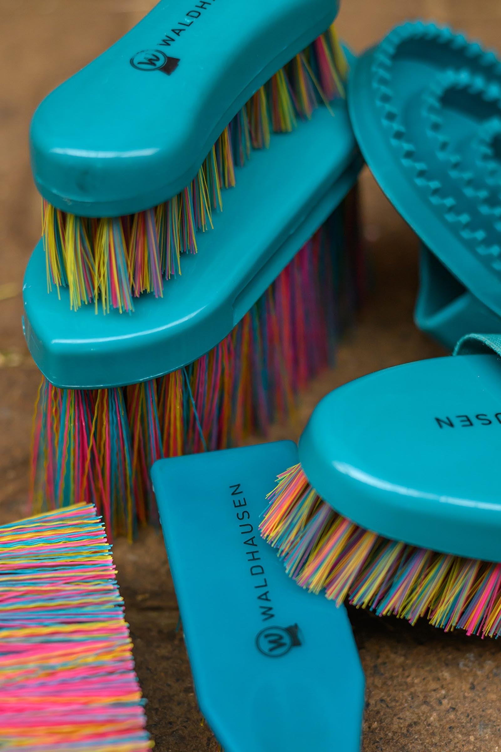 Waldhausen Rainbow Head Brush Horse Grooming Tools