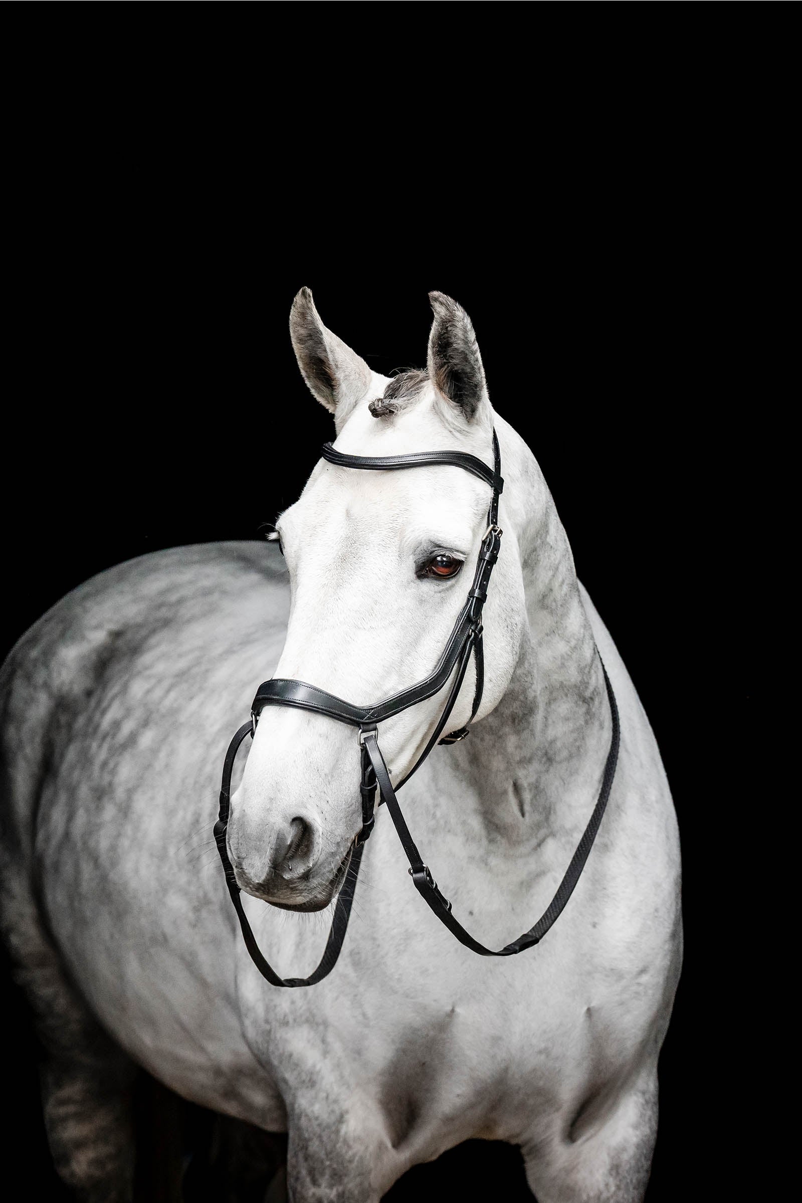 Horseware Micklem bezudidlová uzdečka Bridles & Reins