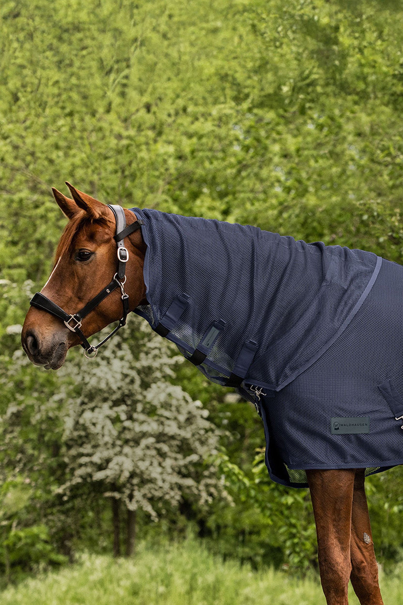 Waldhausen Comfort muchový nákrčník Horse Rugs