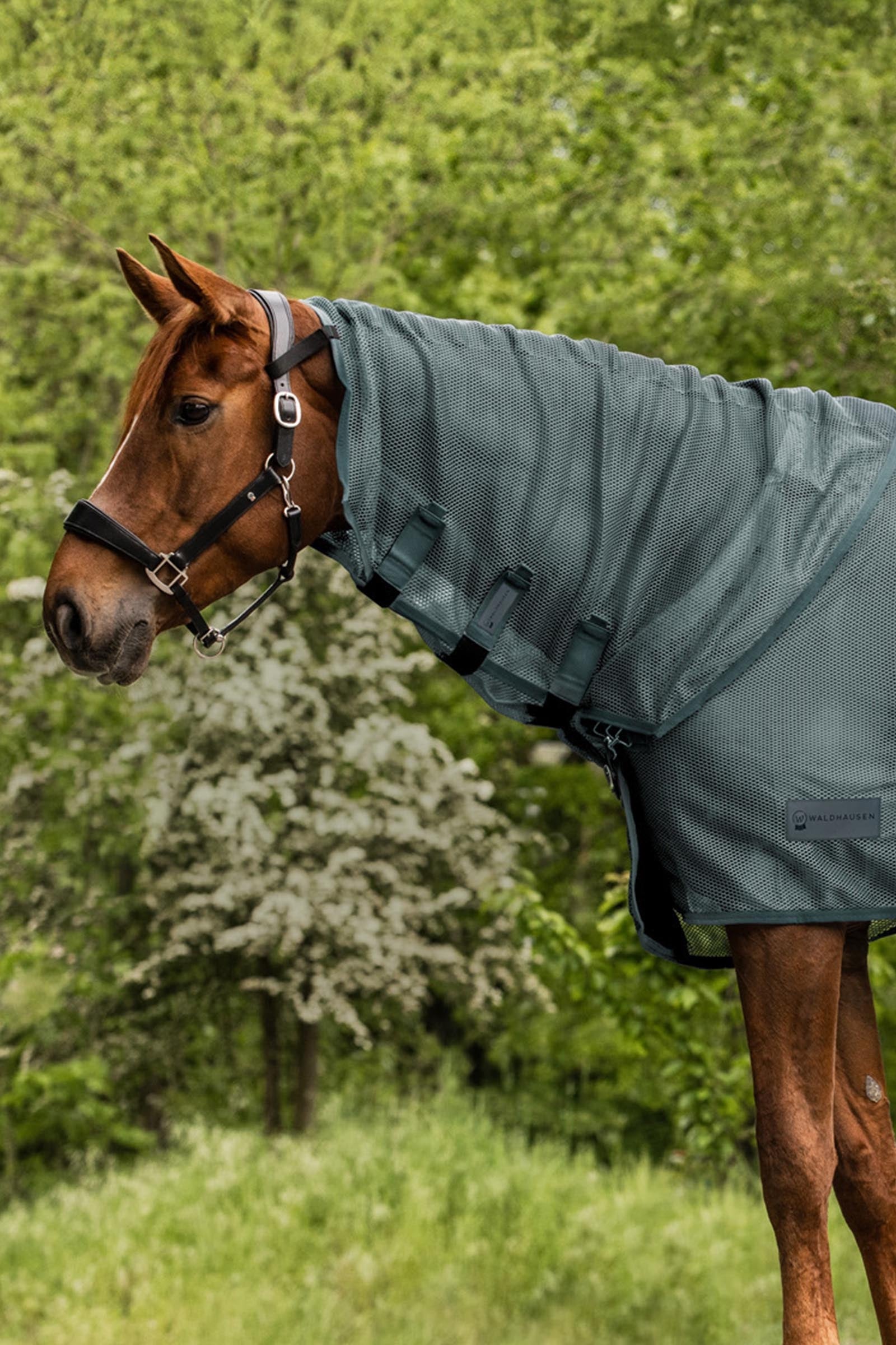 Waldhausen Comfort muchový nákrčník Horse Rugs