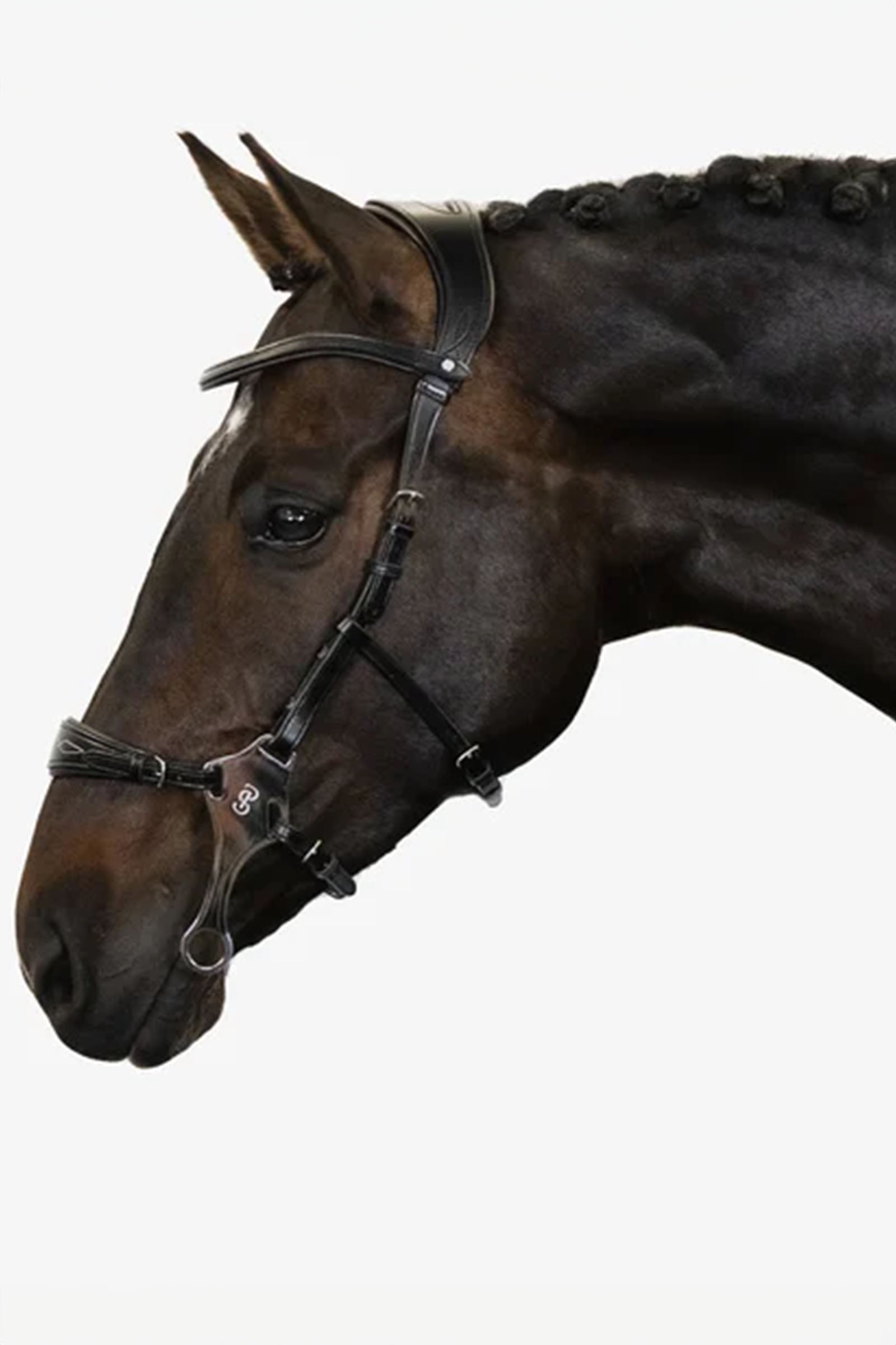 PS of Sweden Hackamore Sport Bridles & Reins