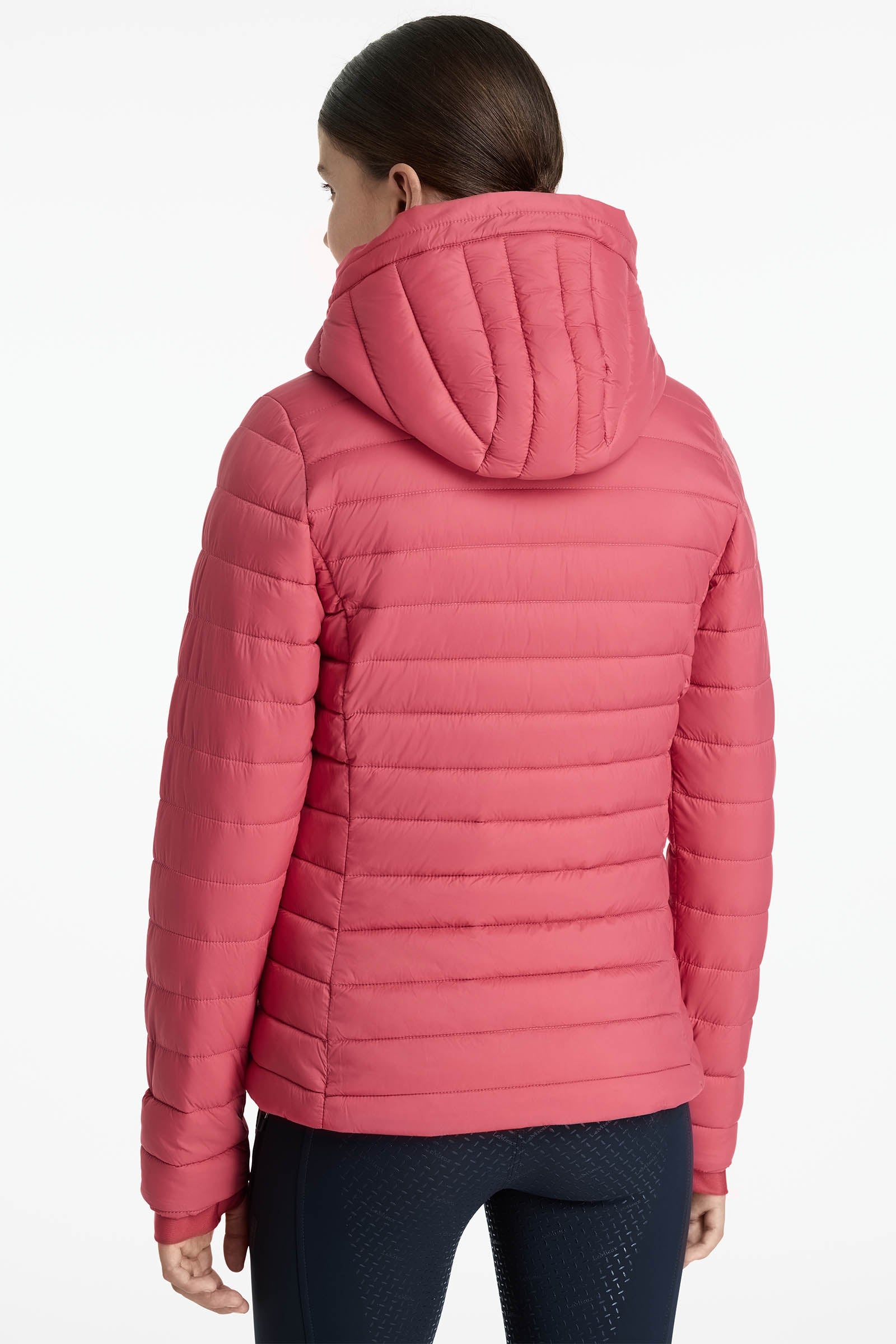 Alt Tag fallback text for IMAGE