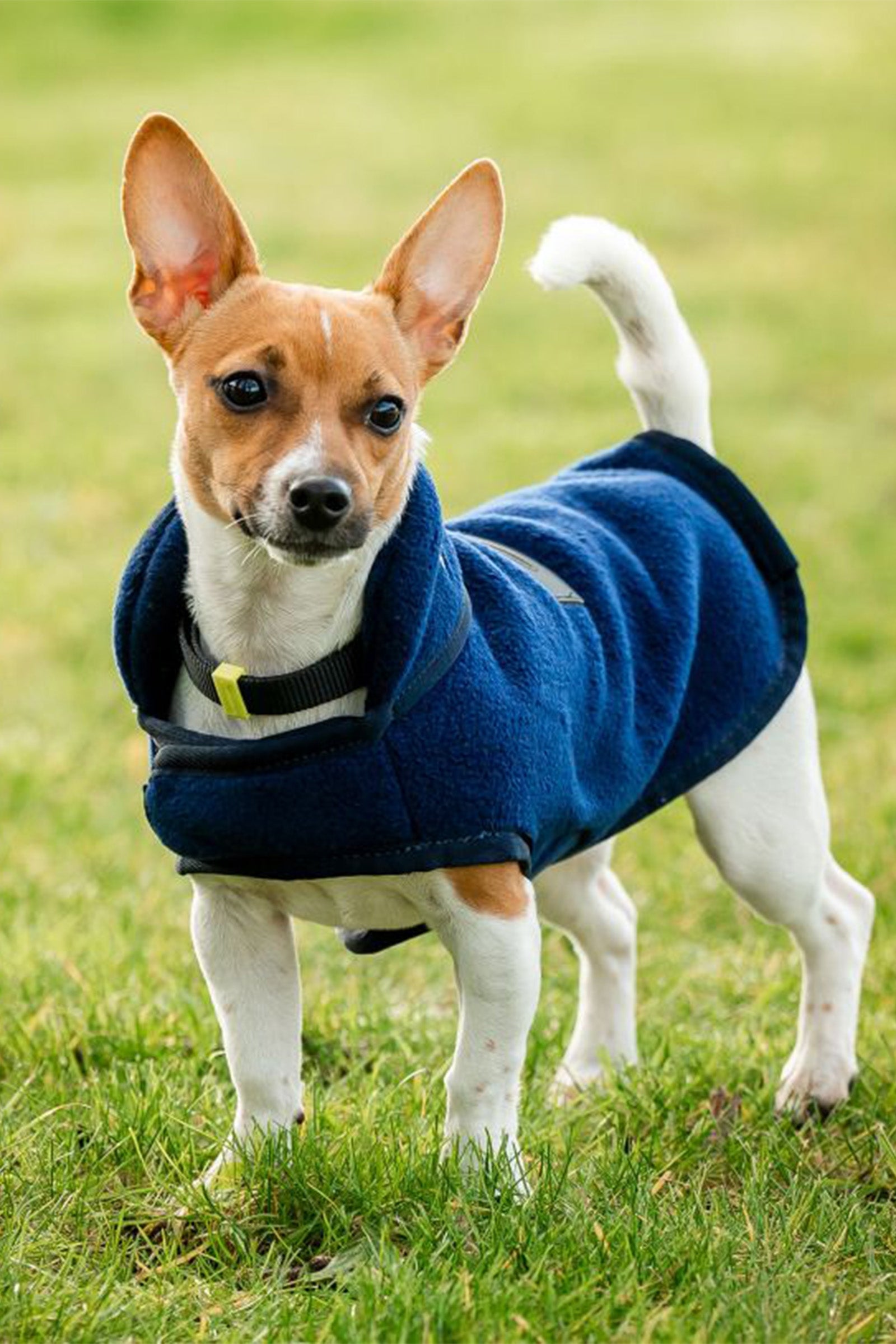 Horseware Signature Dog Fleece Dog Accesories