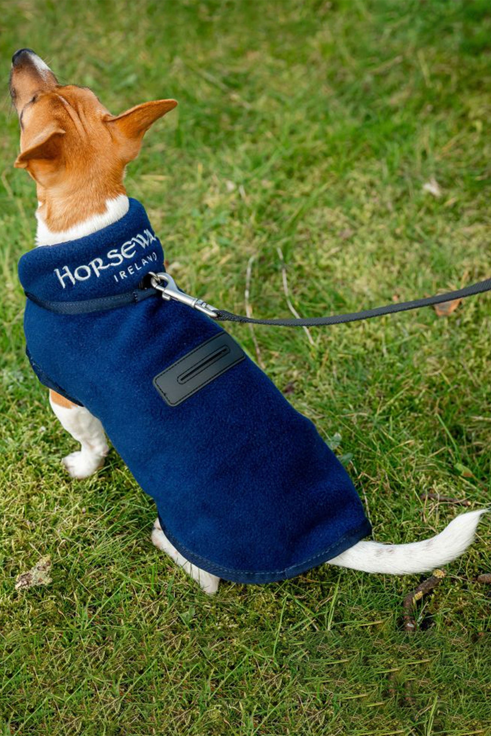 Horseware Signature Dog Fleece Dog Accesories