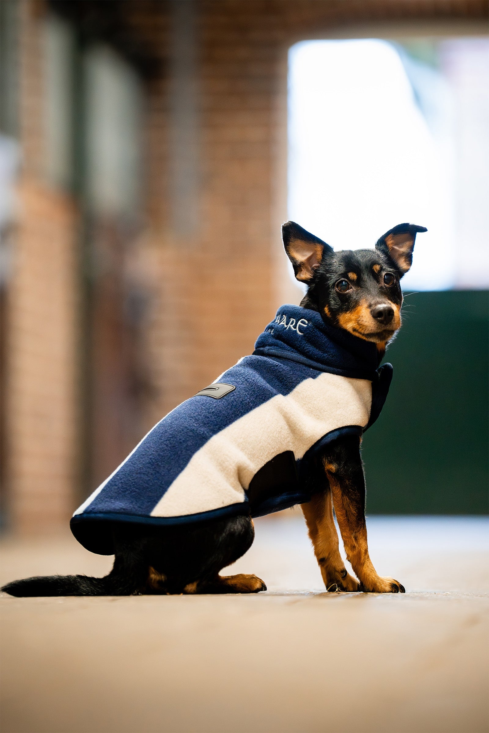 Horseware Signature Fleecová deka pro psy Dog Accesories