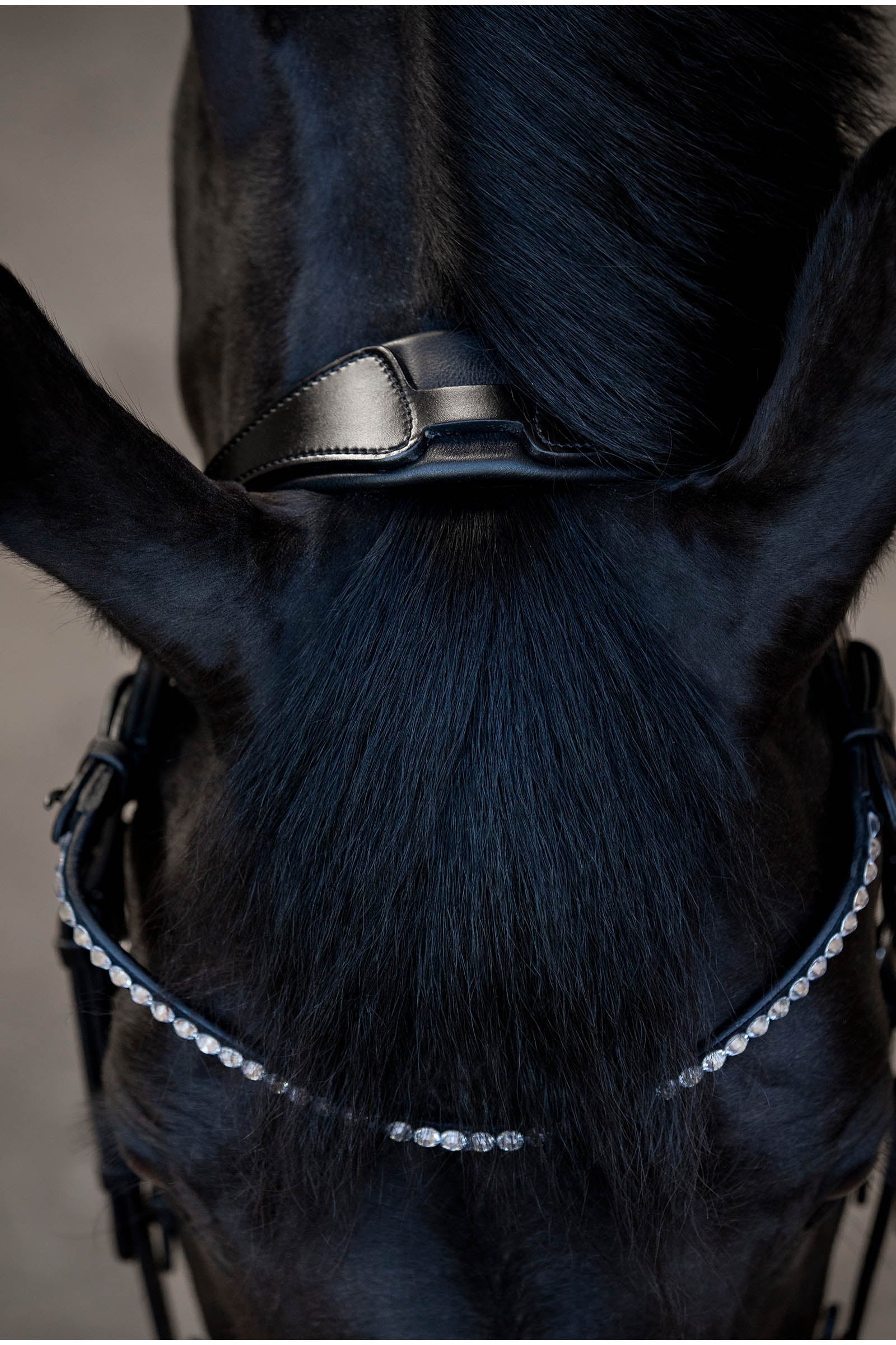 Catago CATAGO Tori Bridle Bridles & Reins