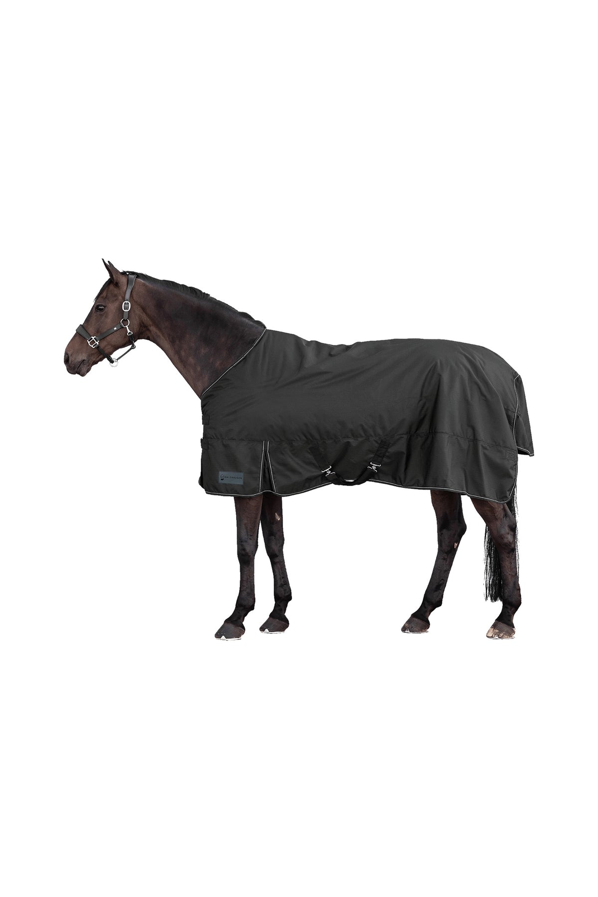 Waldhausen NORDIC 600D Výběhová Deka, 100 g Horse Rugs