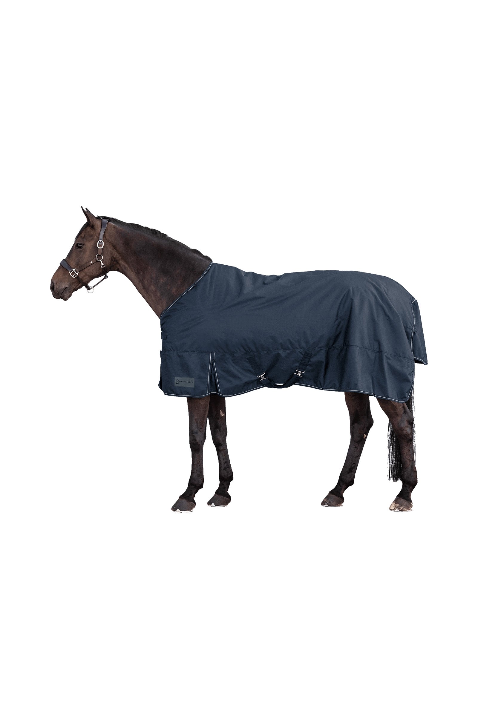 Waldhausen NORDIC 600D Outdoor Rug, 100 g Horse Rugs