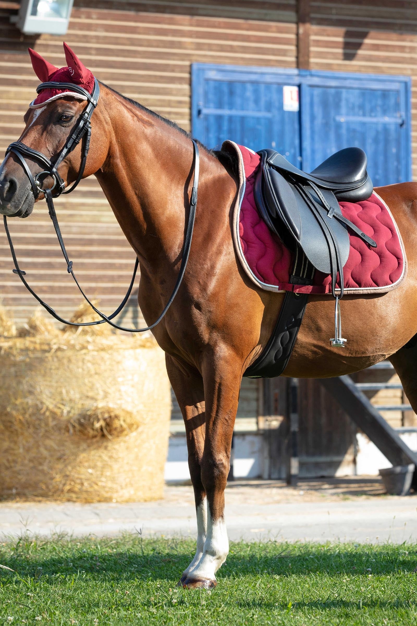 Equi Theme EQUITHÈME Polyfun All Purpose Saddle Pad Saddle Pads