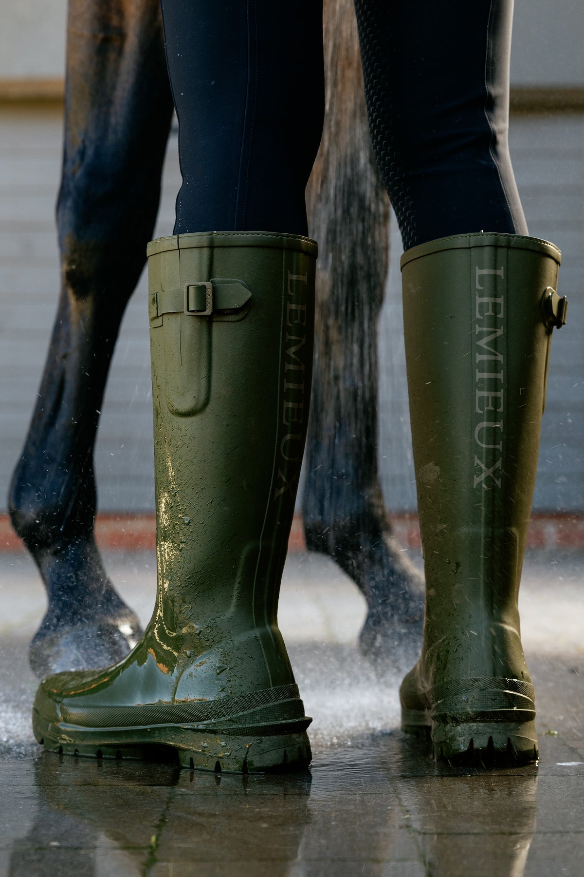 LeMieux Bramshaw Rubber Boots, Short Riding Boots & Riding Shoes