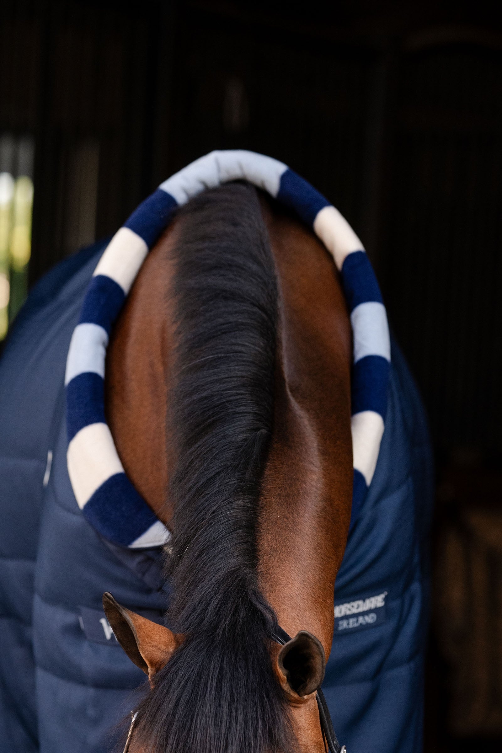 Horseware Newmarket Cosy Stable 100g Horse Rugs