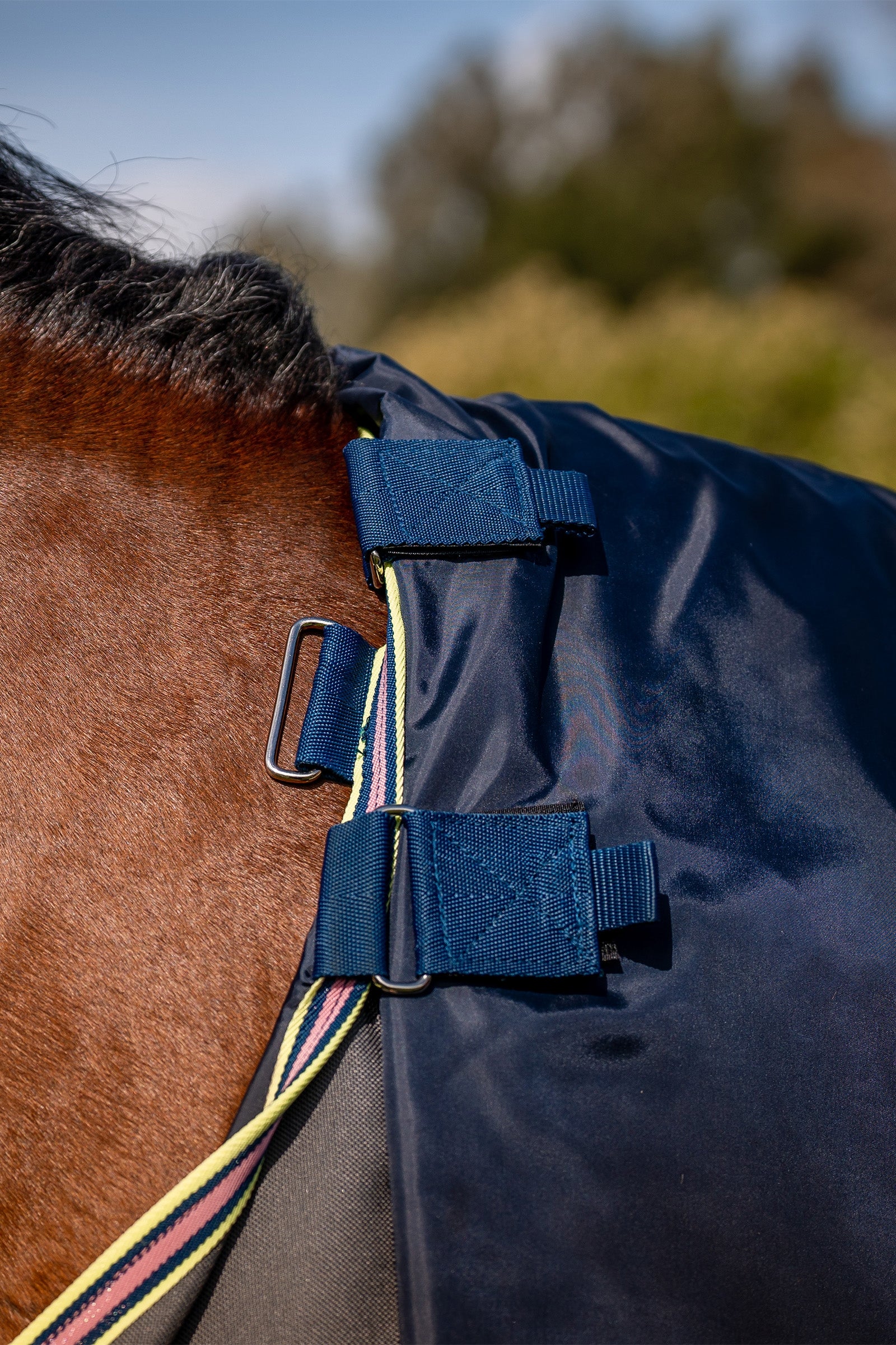Horseware Amigo Bravo 12 Plus Turnout Rug With Detachable Neck, 0g Horse Rugs