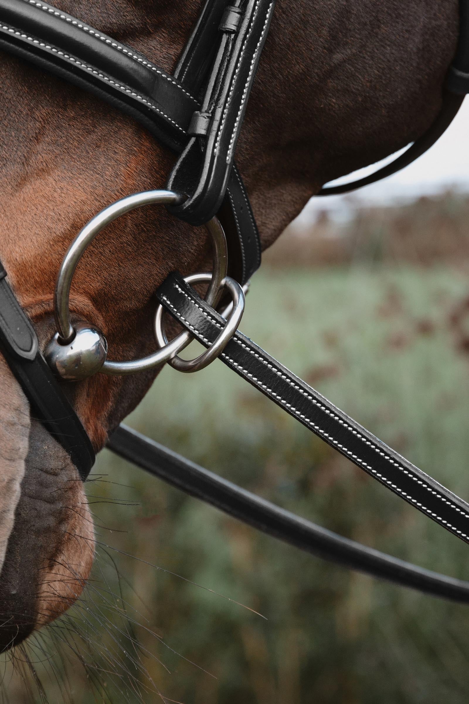 Dy'on Working gumové otěže 13 mm se 7 koženými zarážkami Bridles & Reins