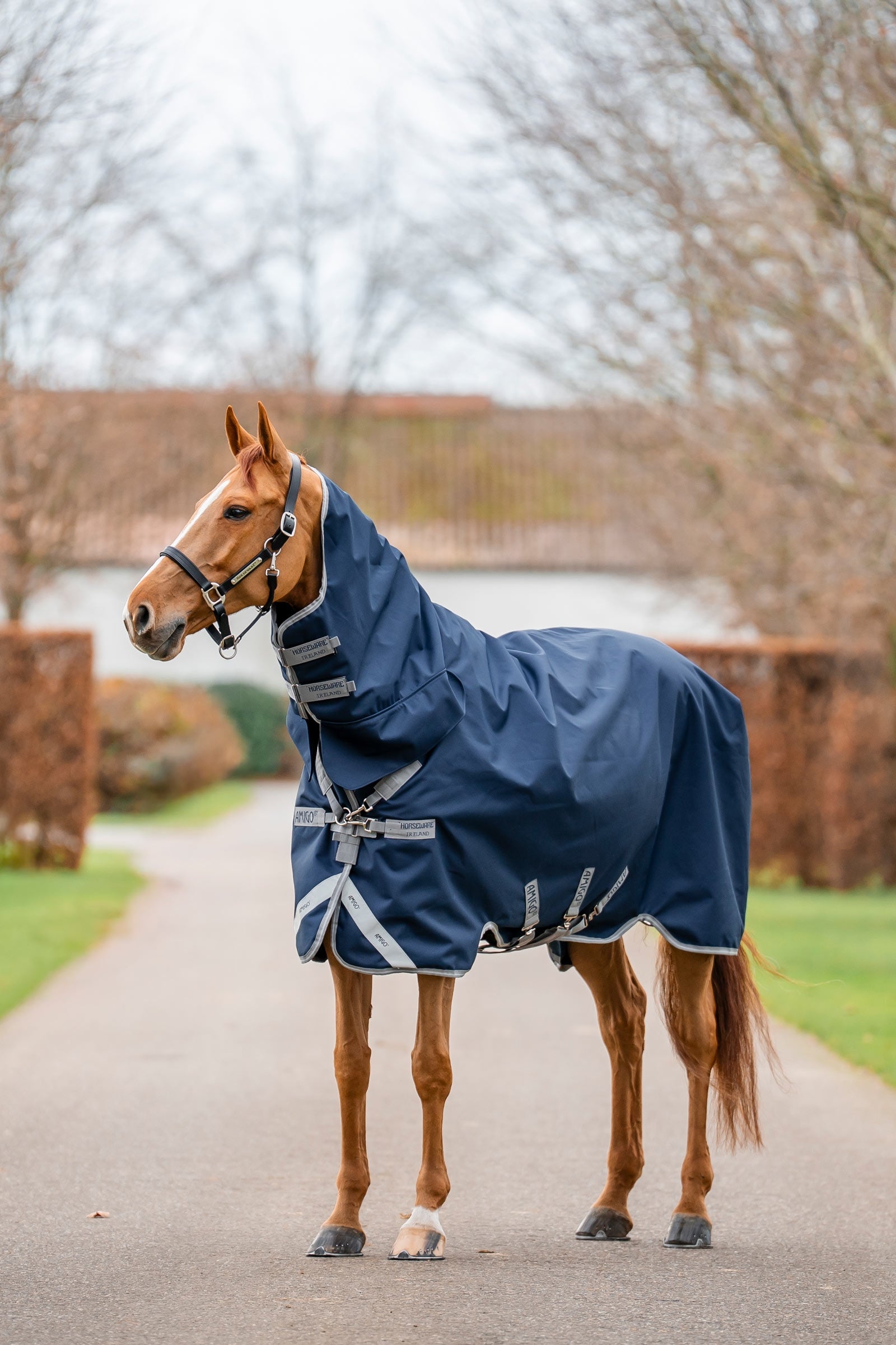 Horseware Amigo 1200D integrovaná výběhová deka 250 g Horse Rugs