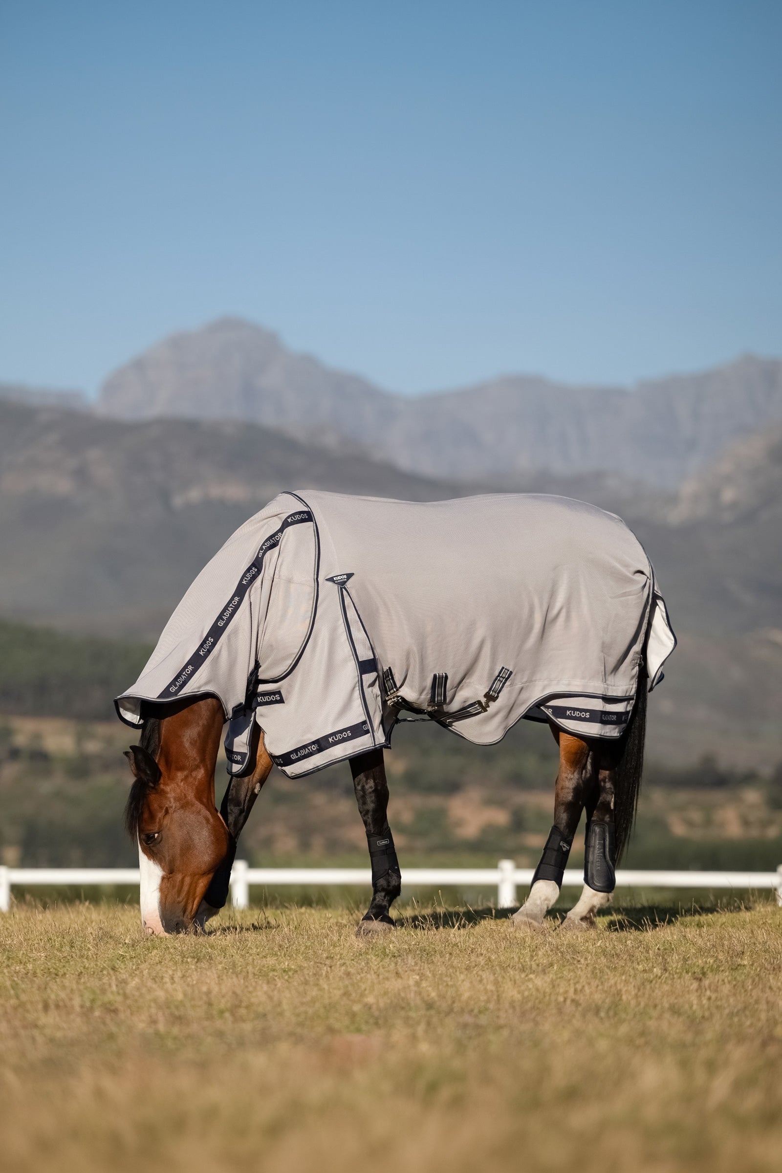 LeMieux Kudos Gladiator fliegendecke proti hmyzu Horse Rugs