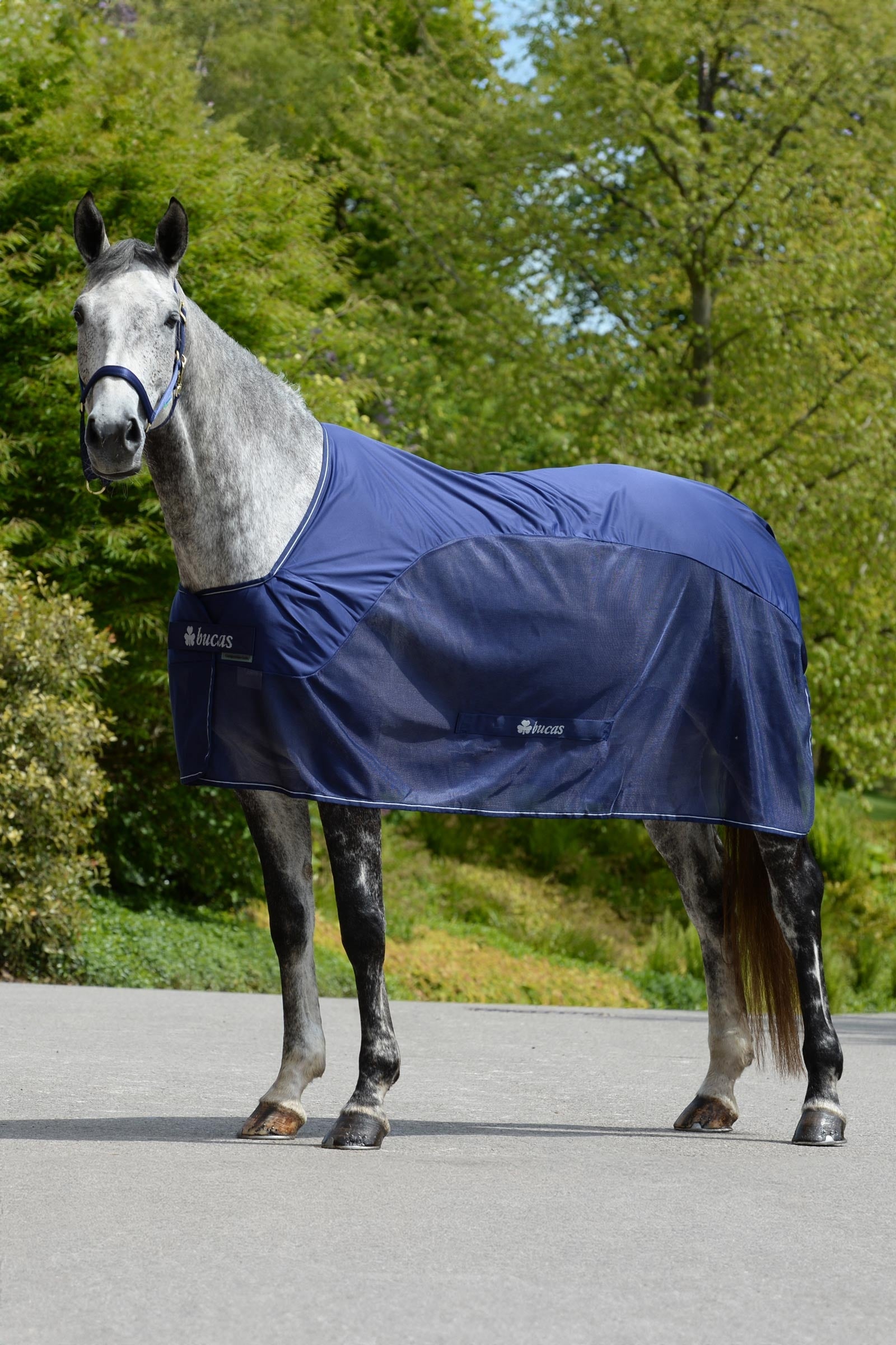 Bucas Competition Chladicí koberec Horse Rugs