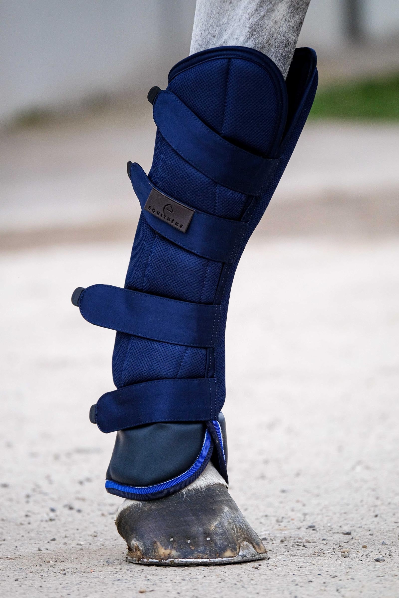 Equi Theme EQUITHÈME Classic transportní kamaše Leg & Hoof Protection