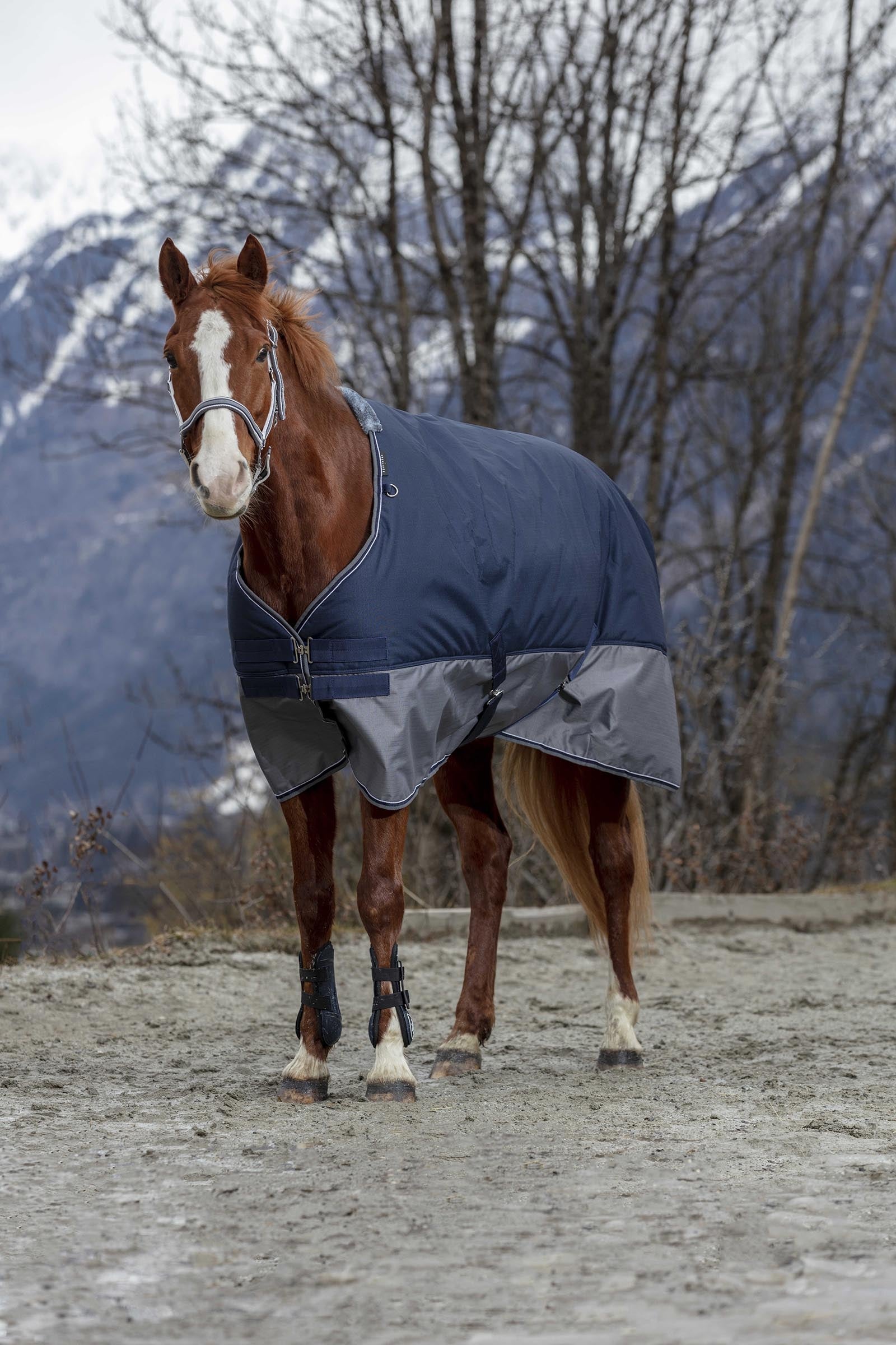 Equi Theme EQUITHÈME TYREX 600D Turnout Rug Horse Rugs