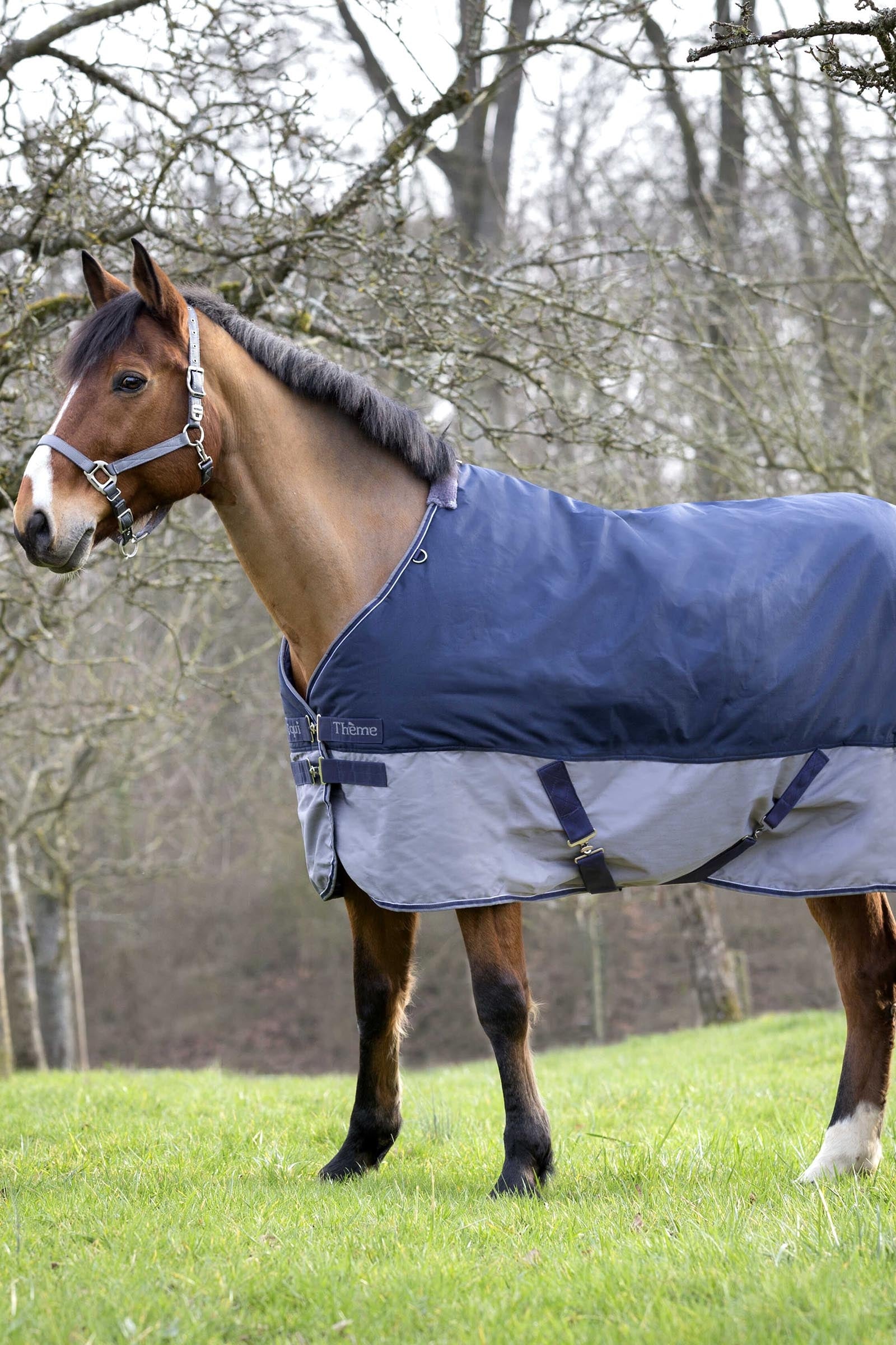Equi Theme EQUITHÈME TYREX 600D Turnout Rug Horse Rugs