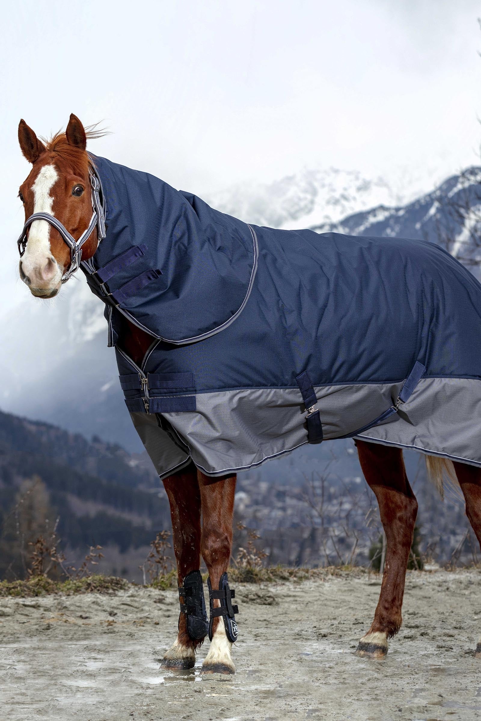 Equi Theme EQUITHÈME TYREX 600D Turnout Rug Horse Rugs