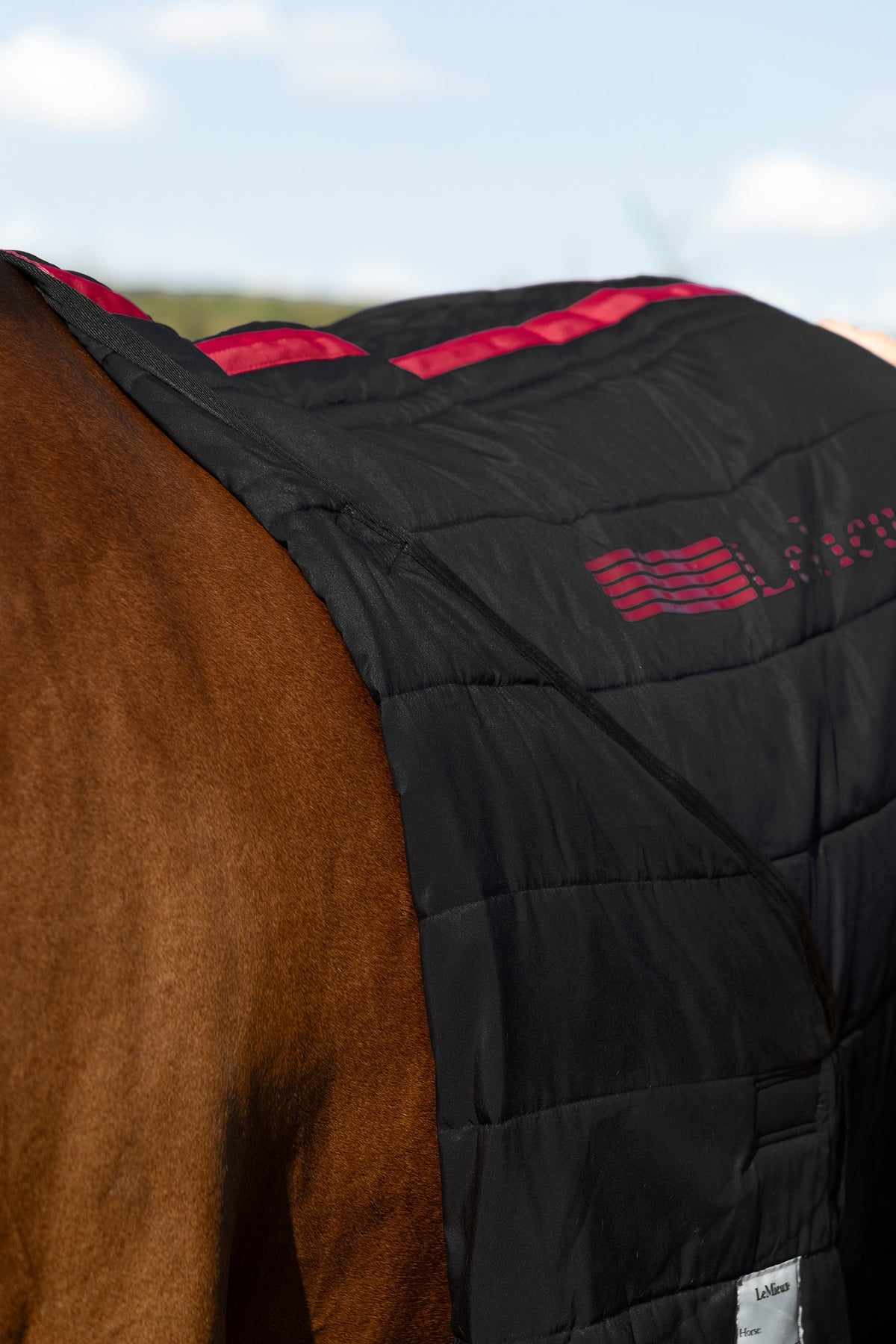 LeMieux InfraTek Therapy Liner, 100 g Horse Rugs