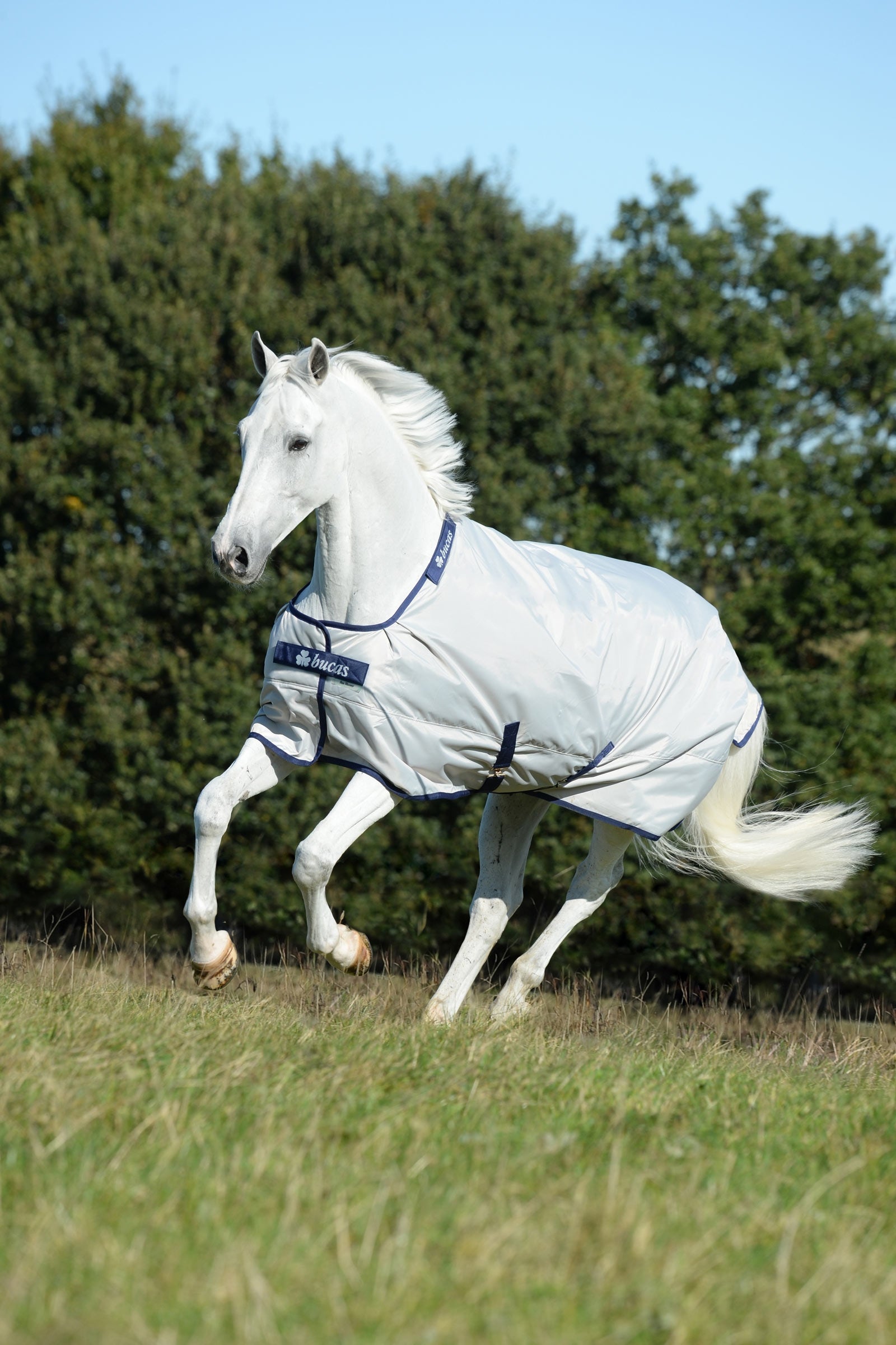 Bucas Sun Shower výběhová deka, 0g Horse Rugs