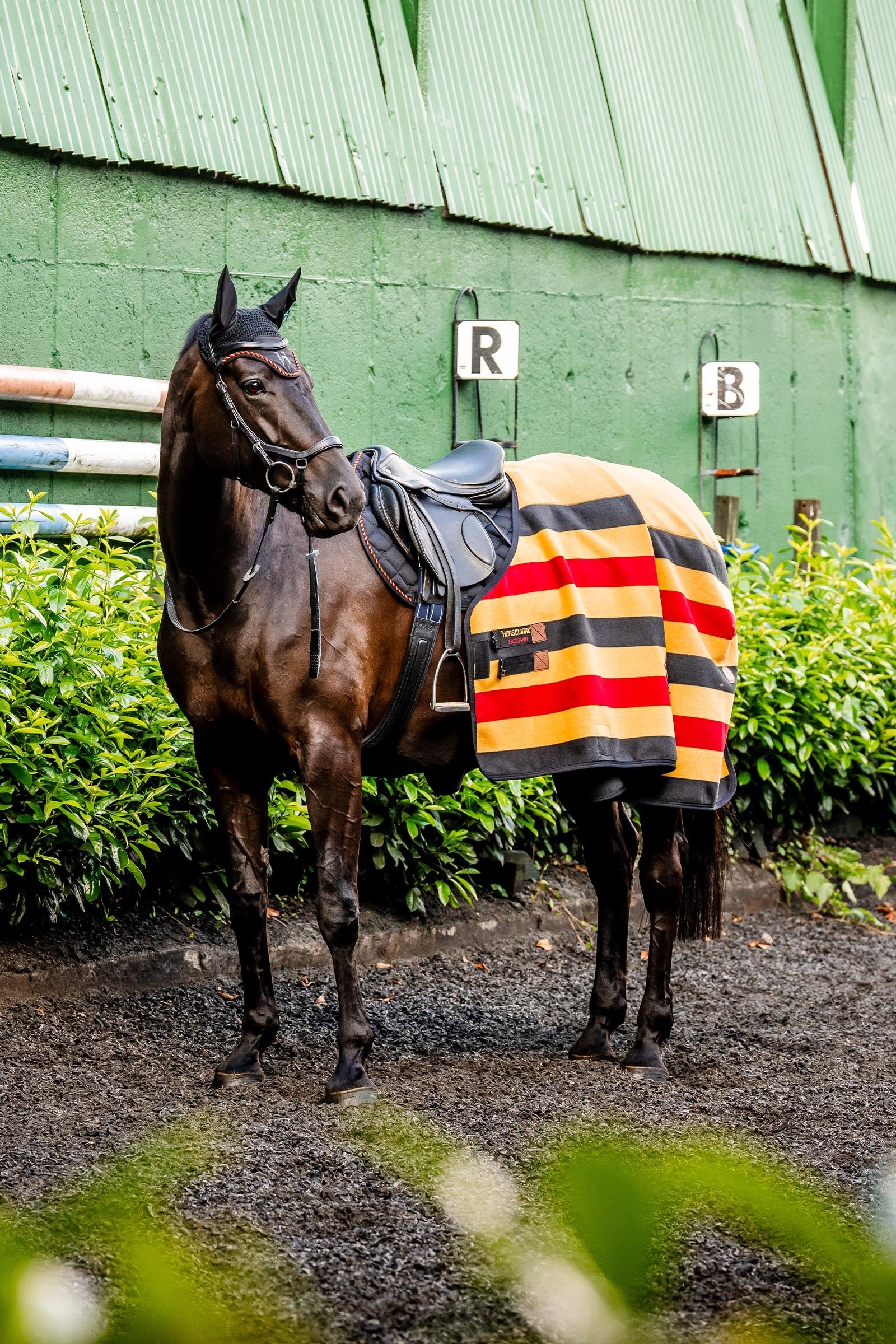 Horseware Newmarket Fleece Cooler Horse Rugs